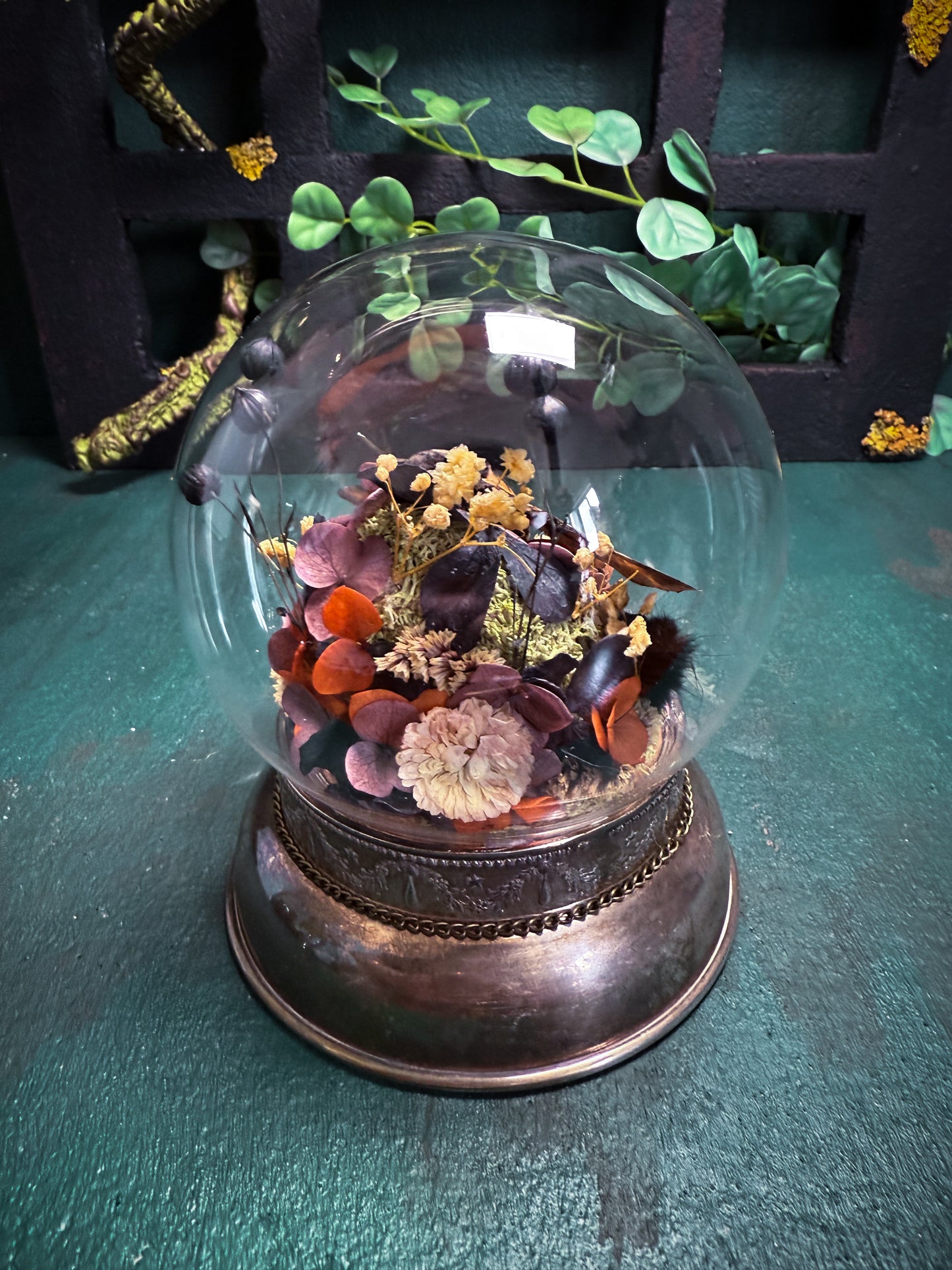 Acherontia atropos/Deathshead Hawkmoth - Antique Style Dome & Trinket