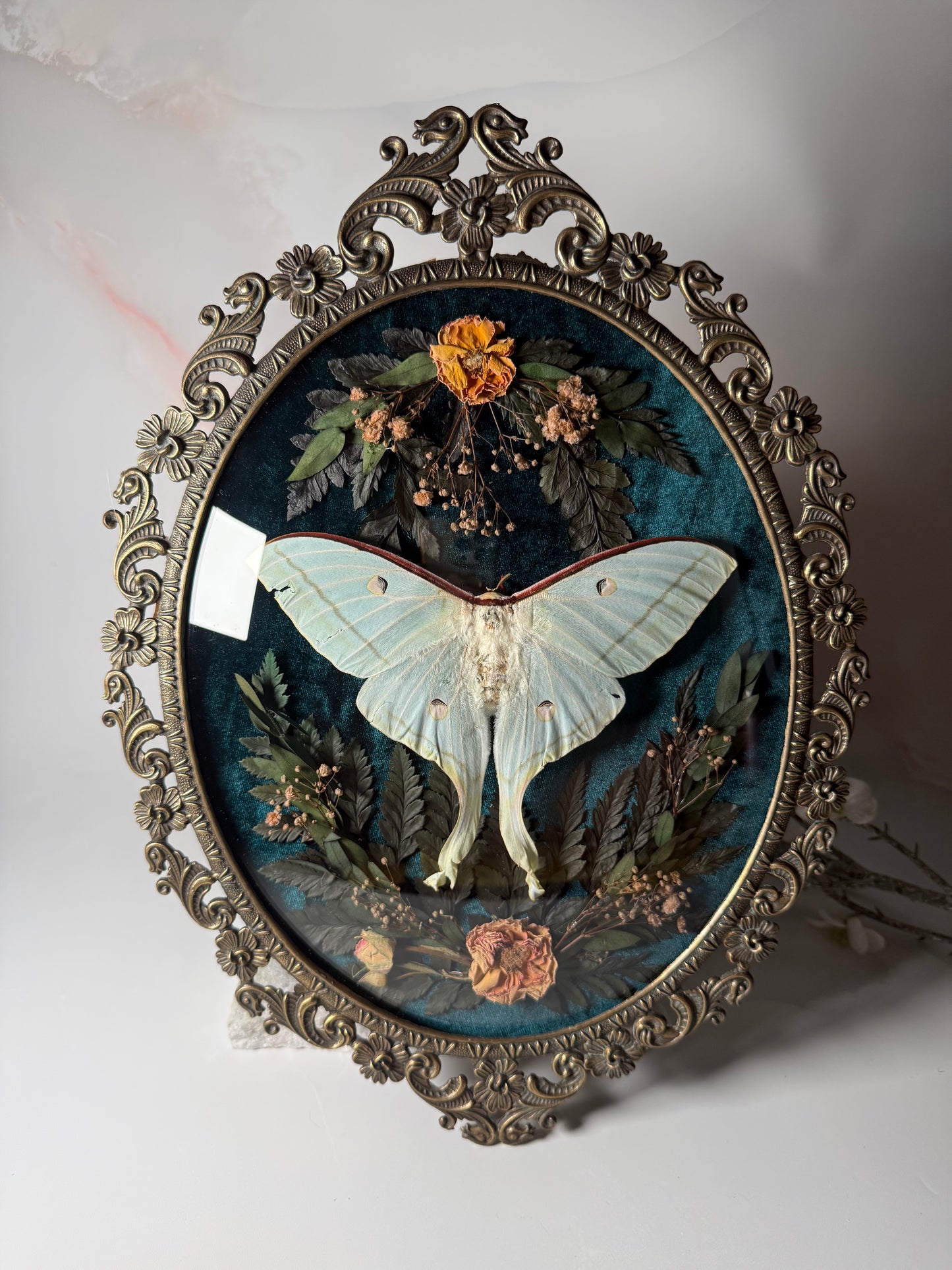 Actius Selene - Antique convex frame Rose