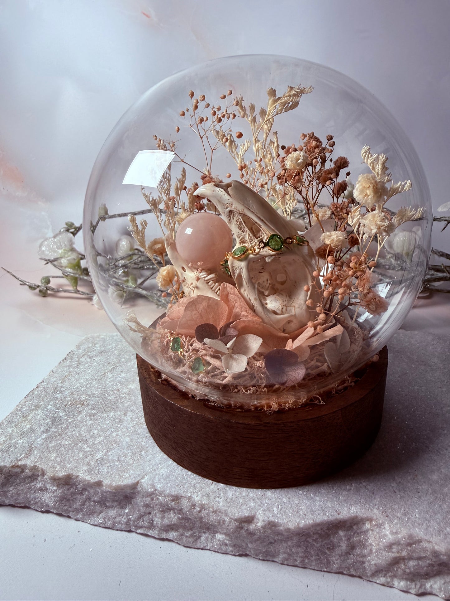 Rabbit Skull dome - Light up base