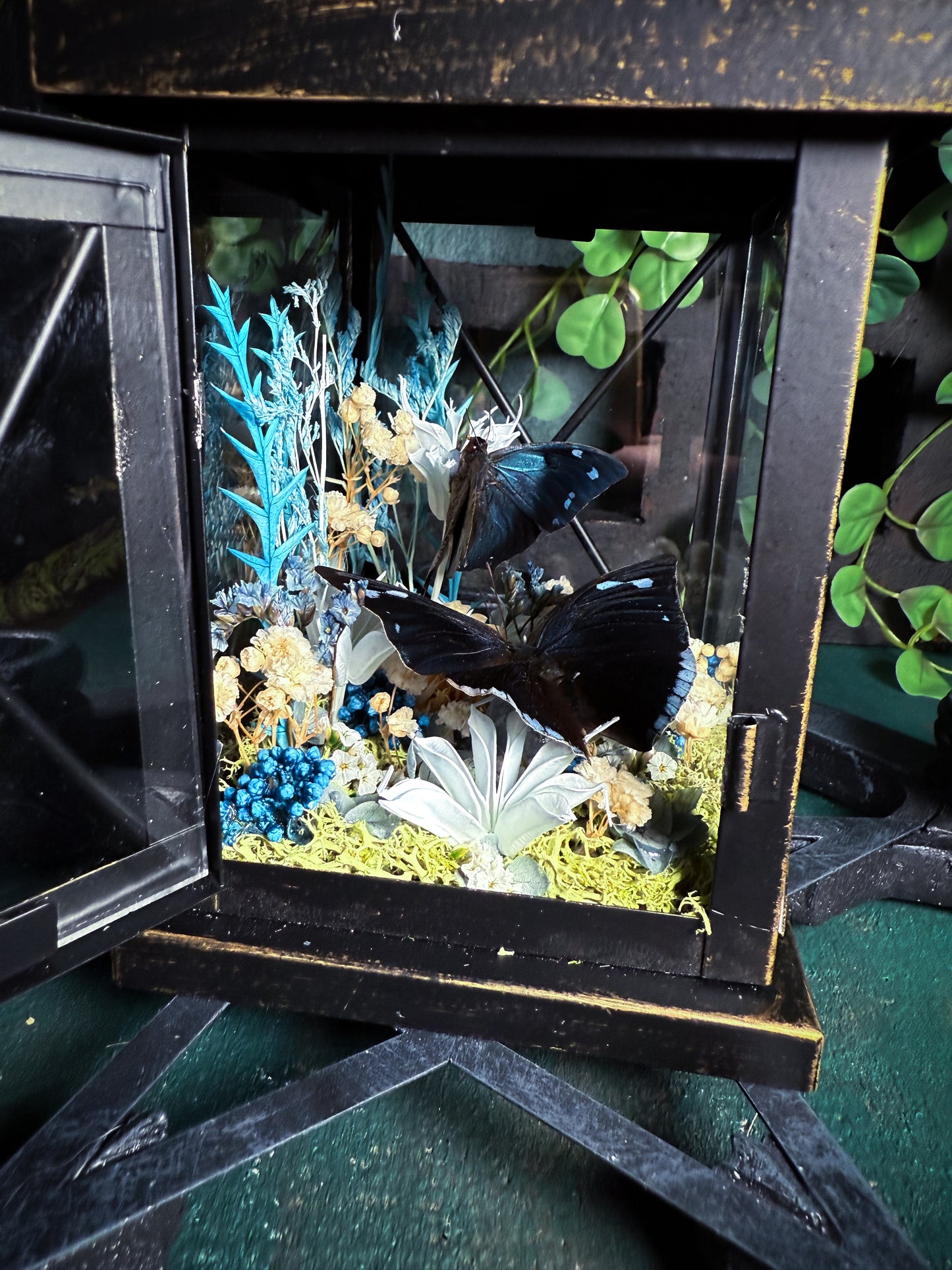 Fae Lantern - Blue Meadow