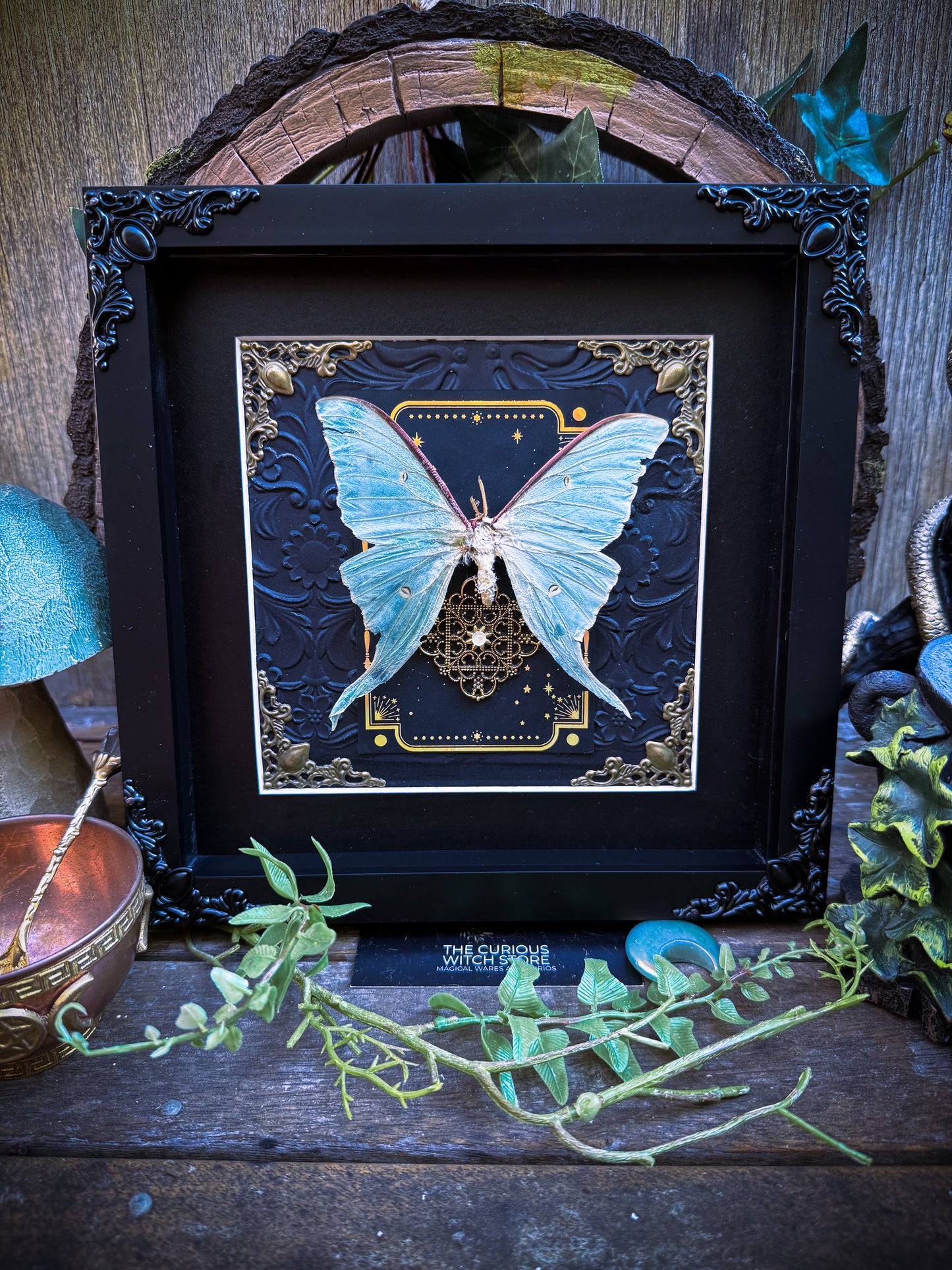 Luna Moth/Actius Dulcena - Tarot *Damaged*