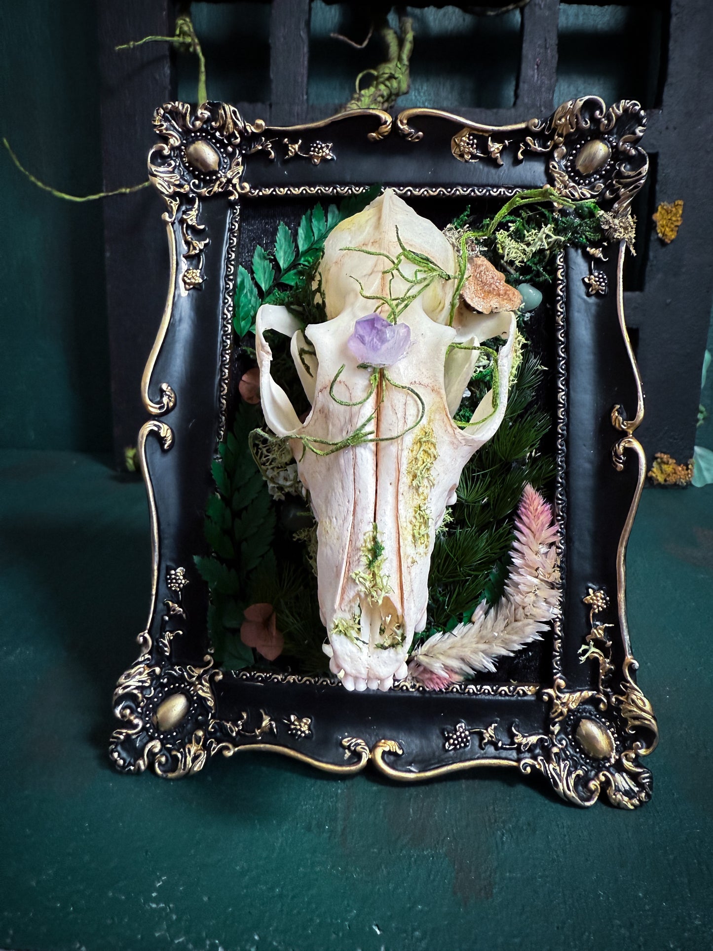 Overgrown Fox Skull - Fox Glove