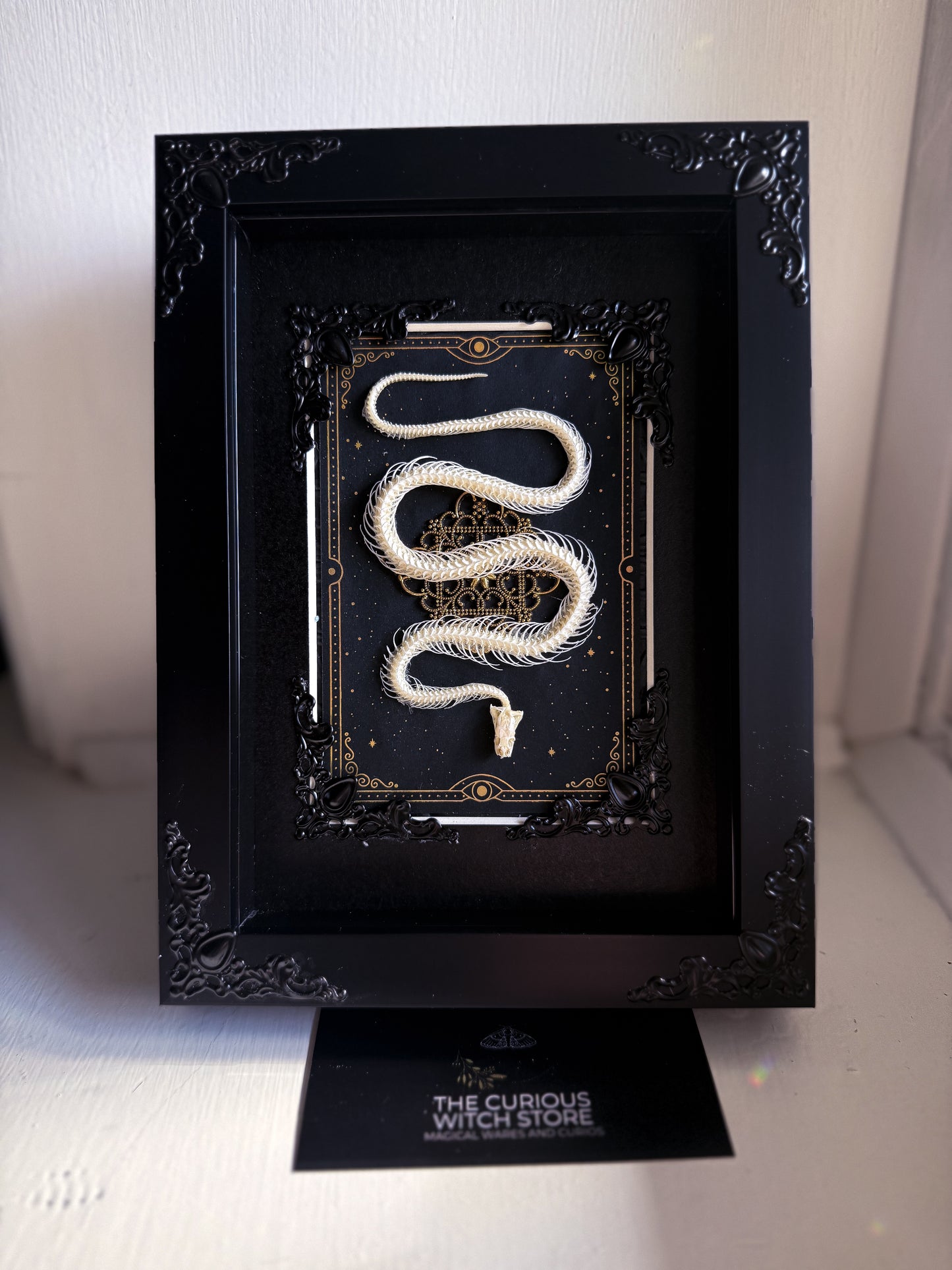 Mounted Snake Skeleton - Real Articulated Rice Paddy Snake Tarot