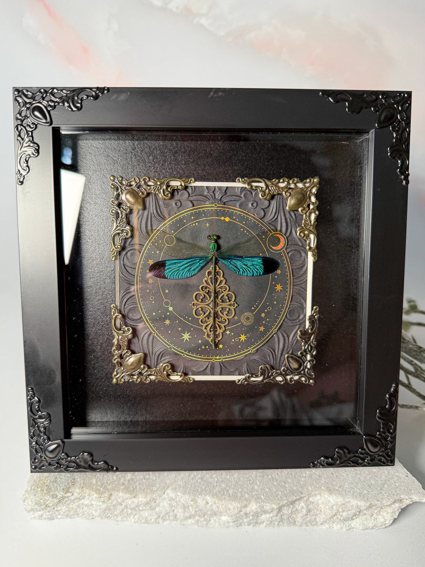 Neurobasis Chinensis Damselfly - Stars