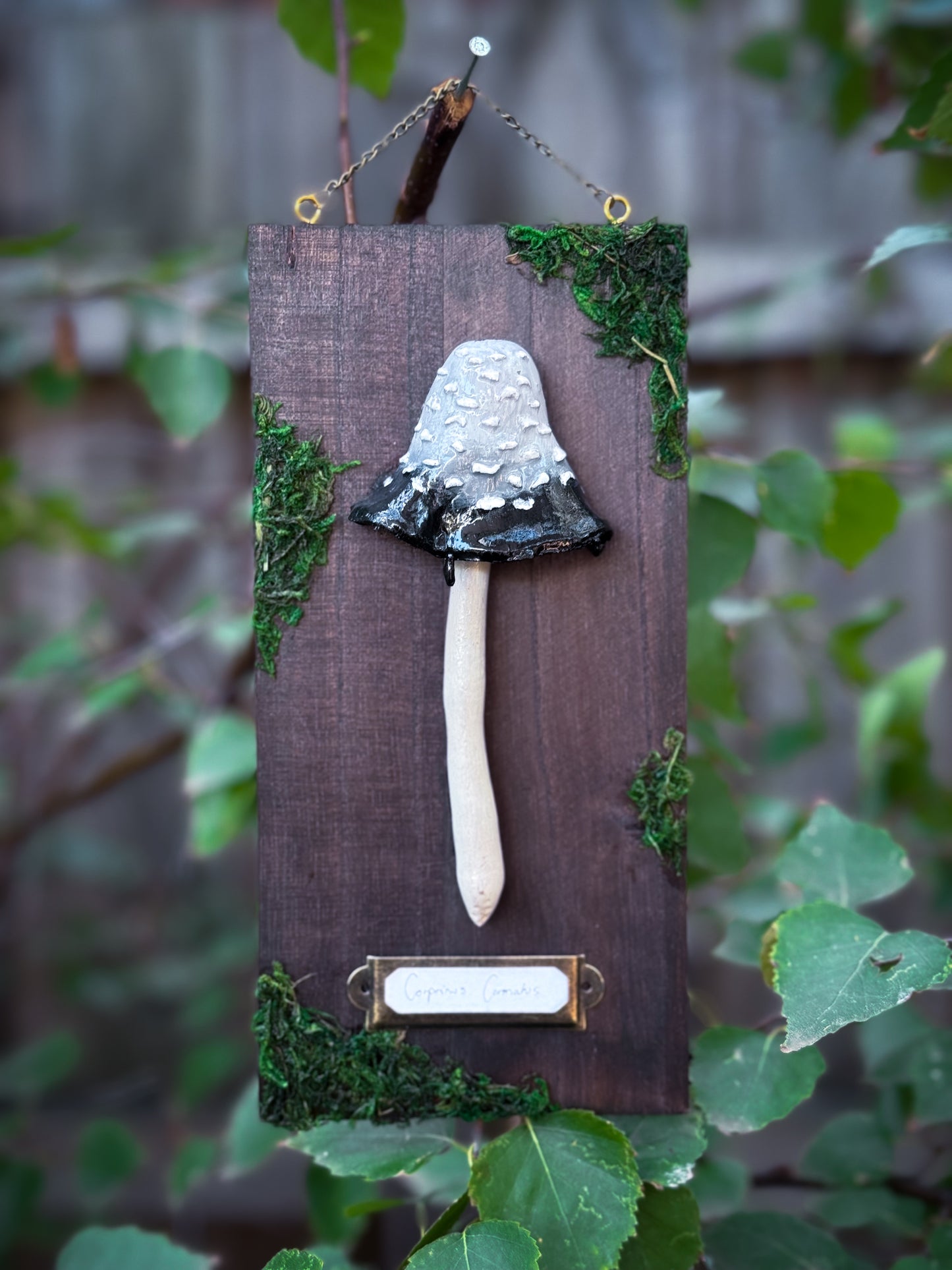 Corpus Cormatus - Handsculpted Mushroom Wall Plaque