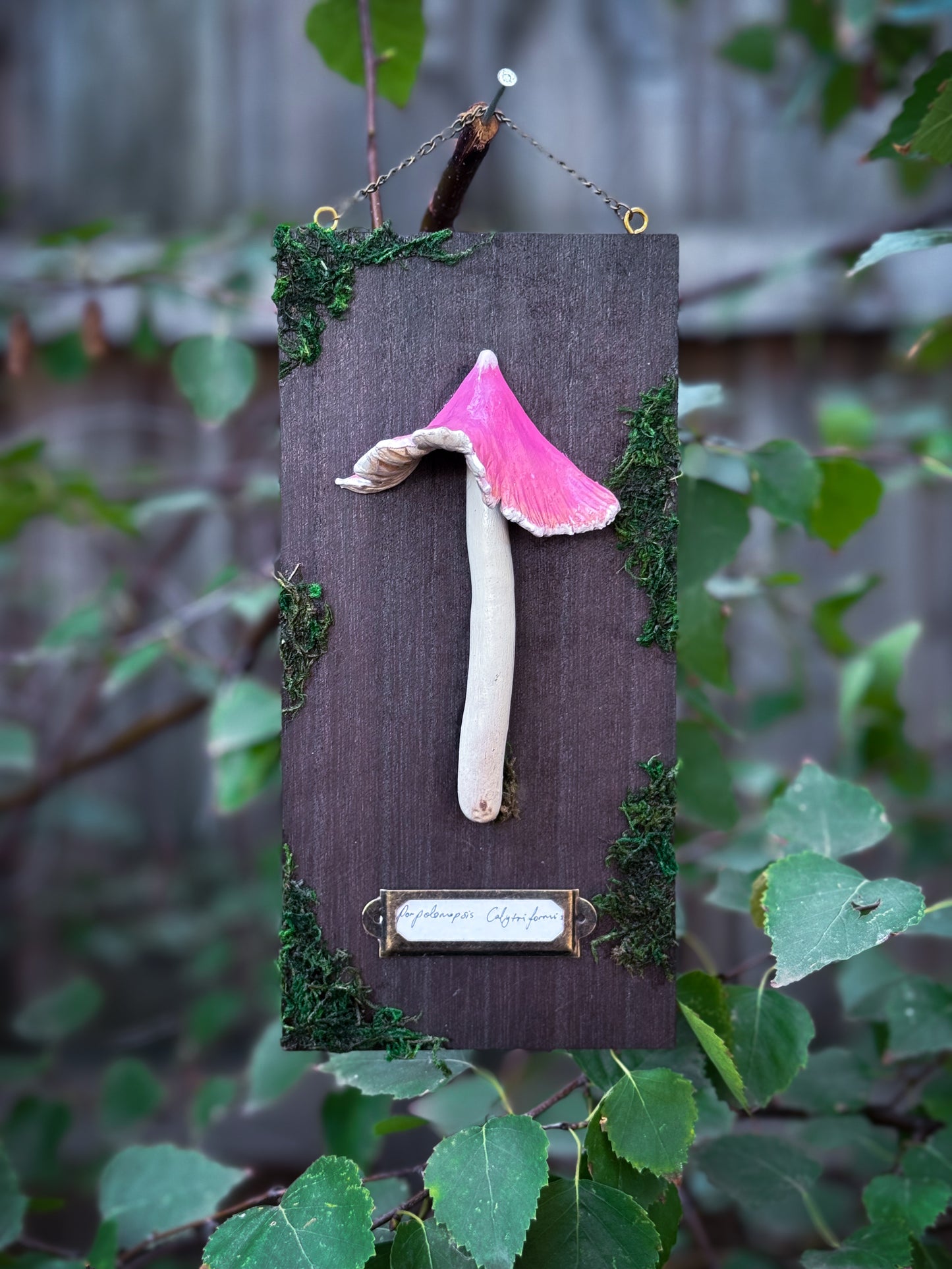 Porpolomopsis calyptriformis - Handsculpted Mushroom Wall Plaque