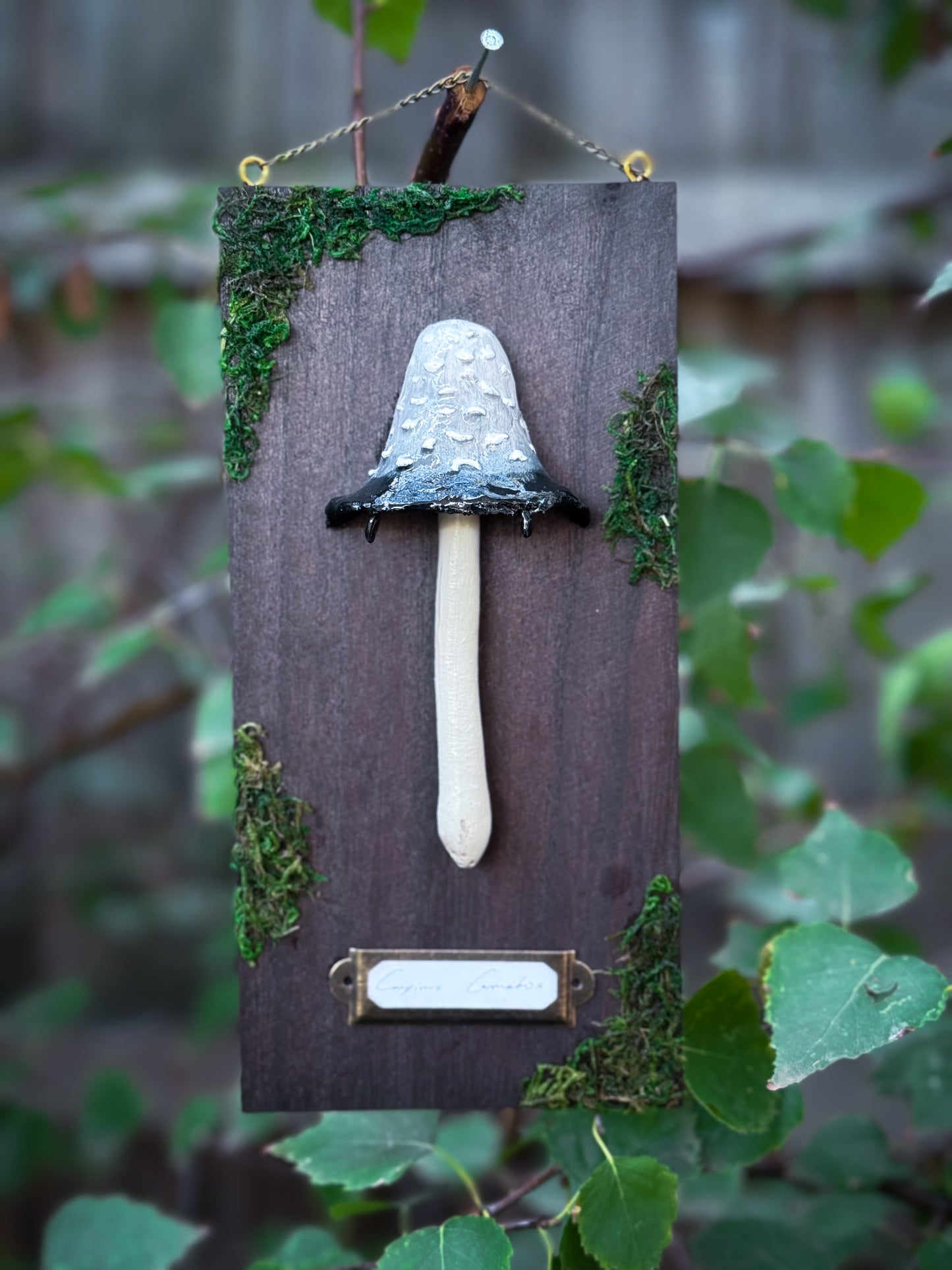 Corpus Cormatus - Handsculpted Mushroom Wall Plaque