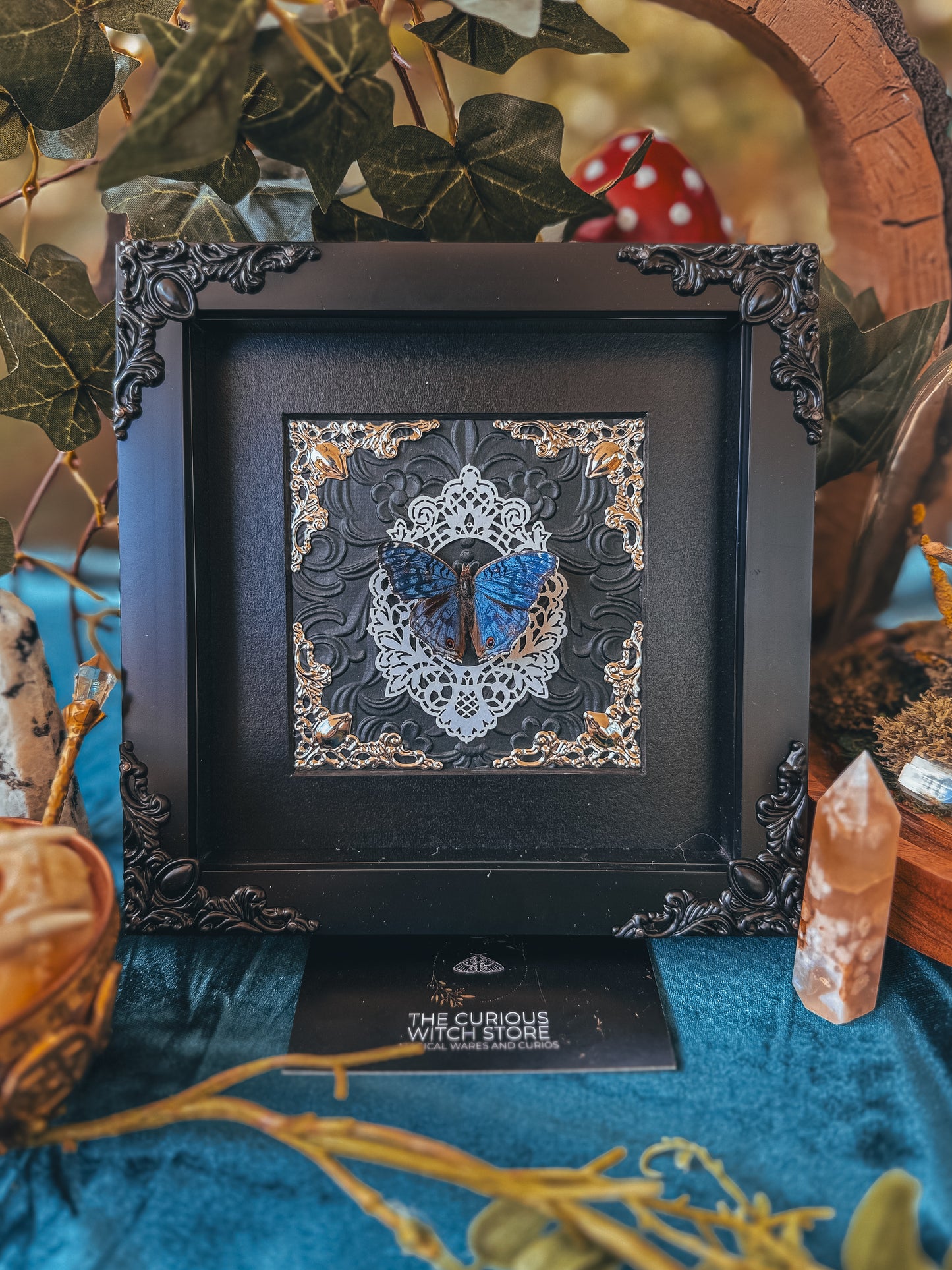 Precis Rhadama B - The Curious Witch Store
