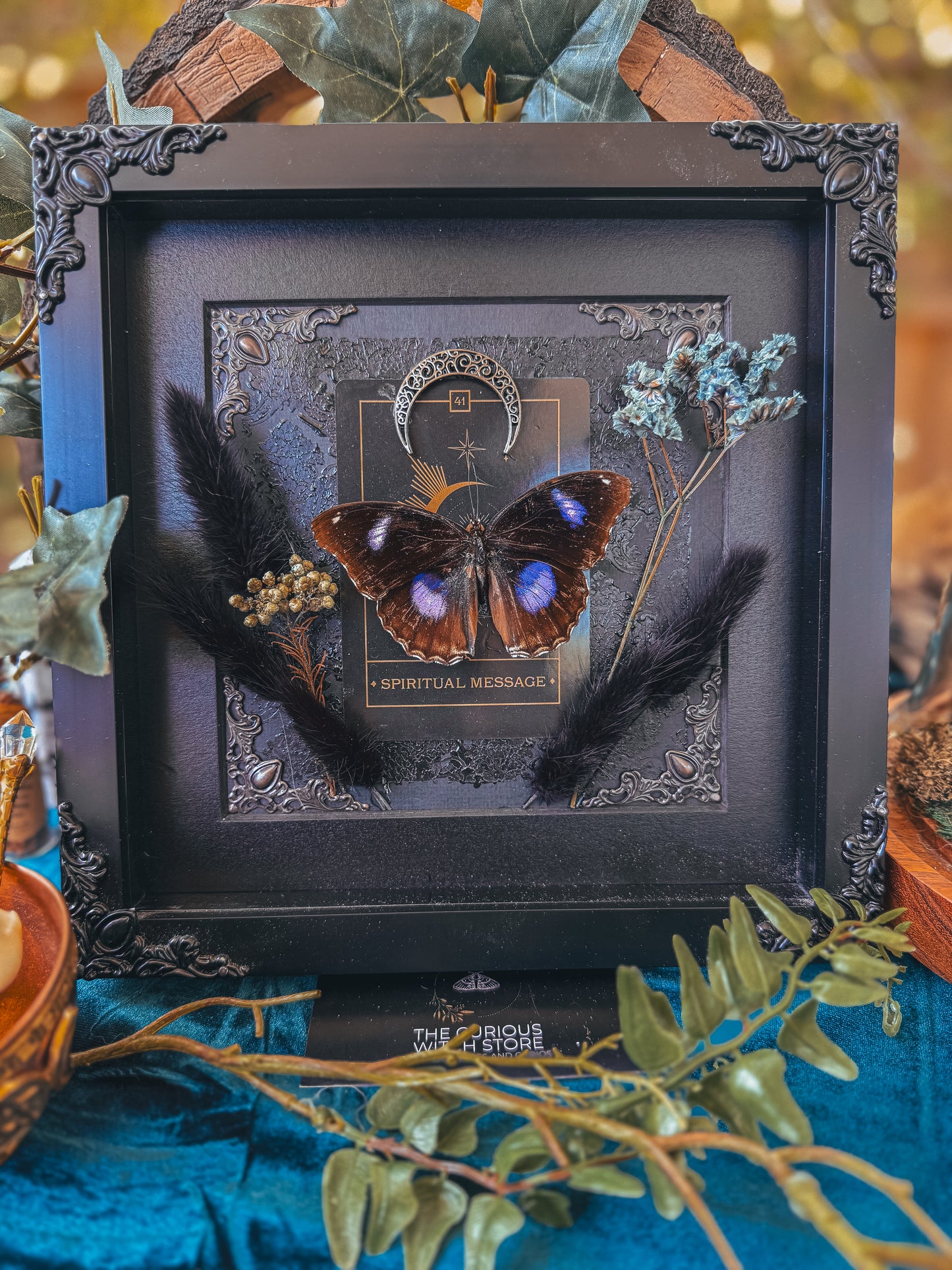 Hypolimnas Bolina - Spiritual Blessing - The Curious Witch Store