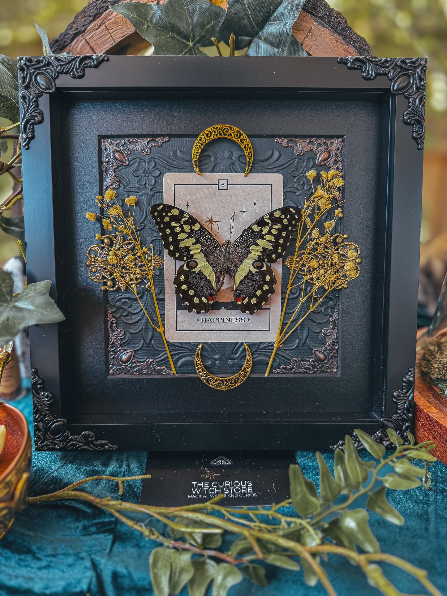 Papilio Demodocus - Happiness - The Curious Witch Store