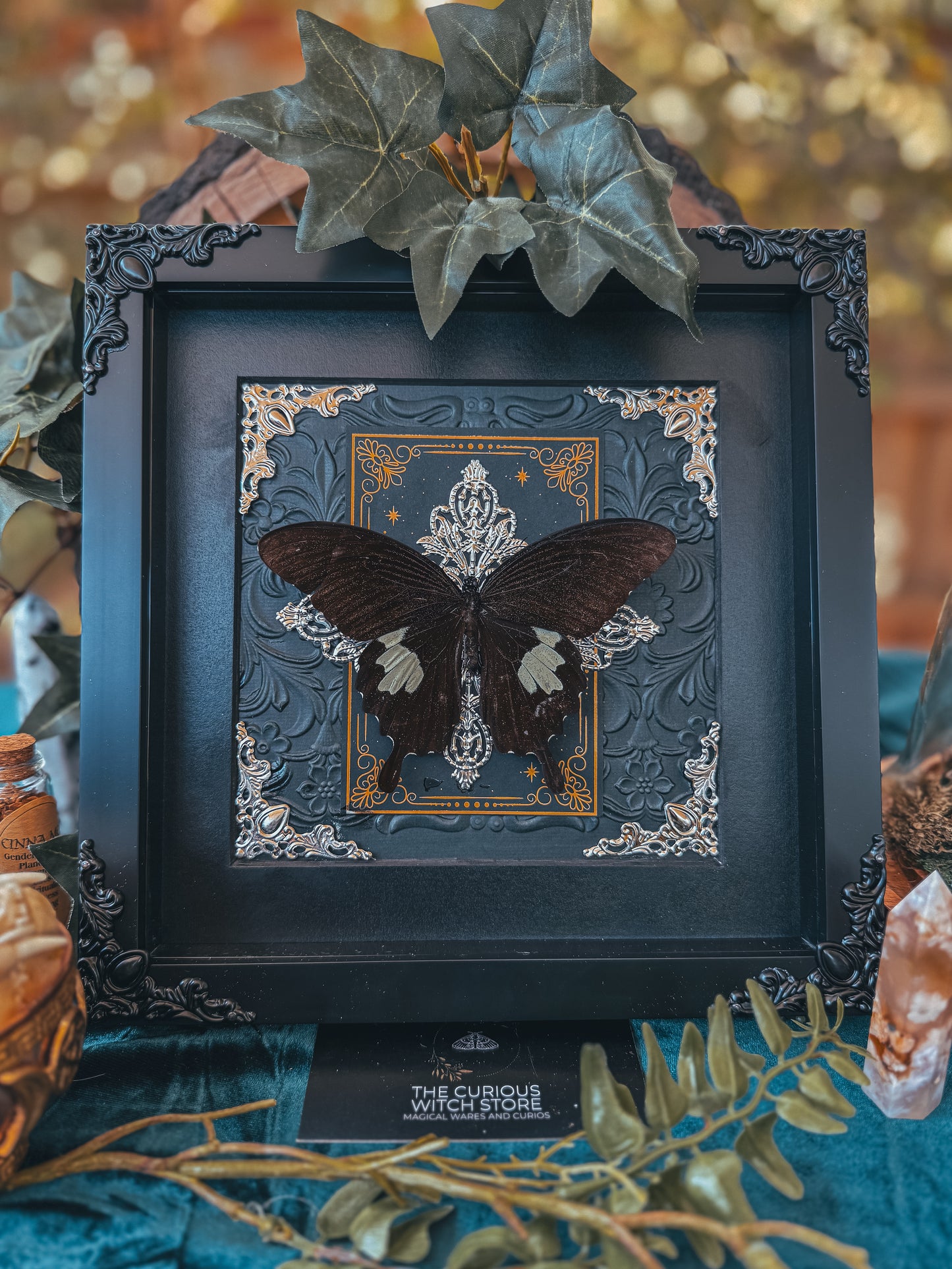 Papilio Nephalis - Oracle *discounted* - The Curious Witch Store