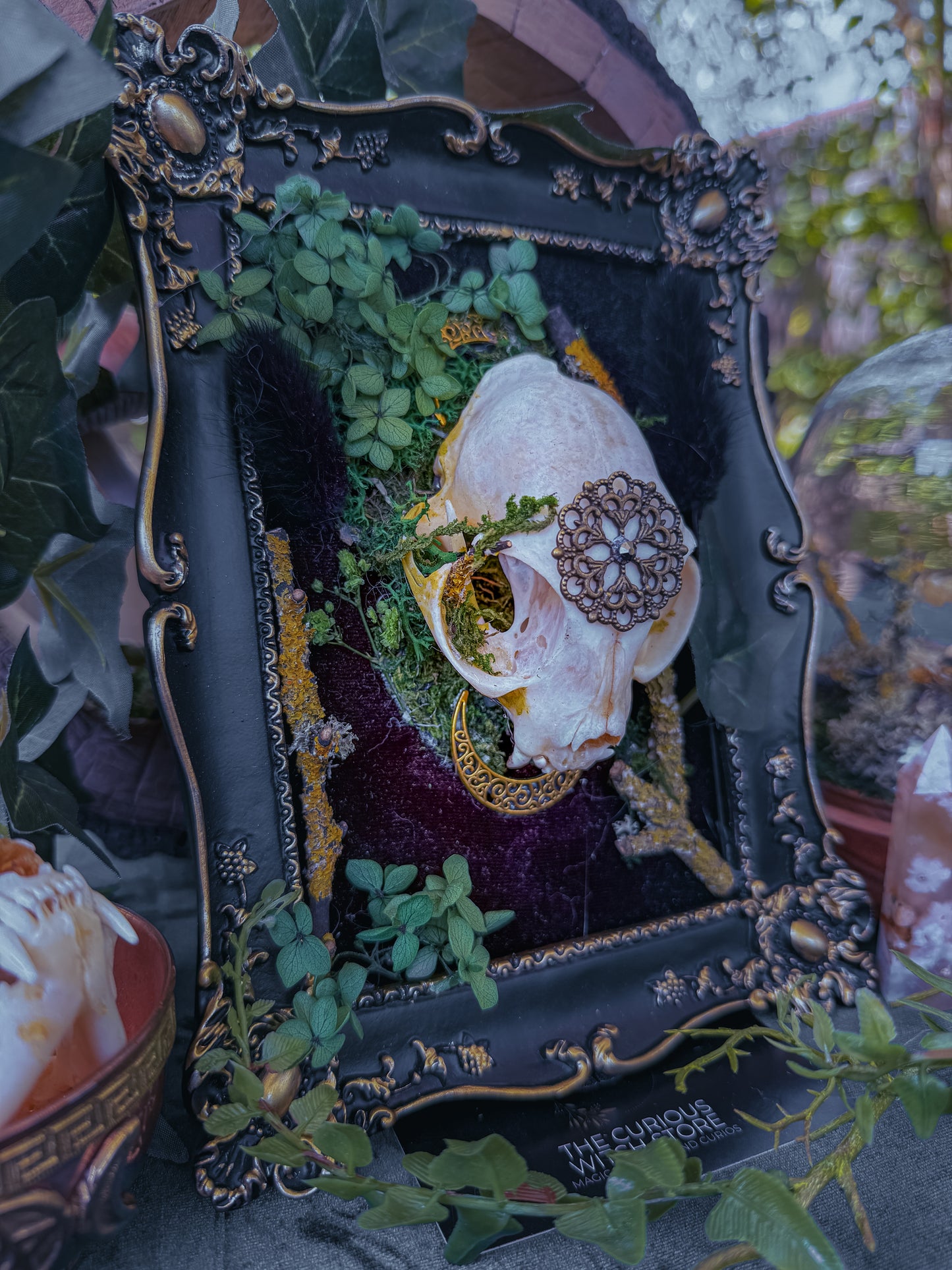 Overgrown Cat Skull - Fern - The Curious Witch Store