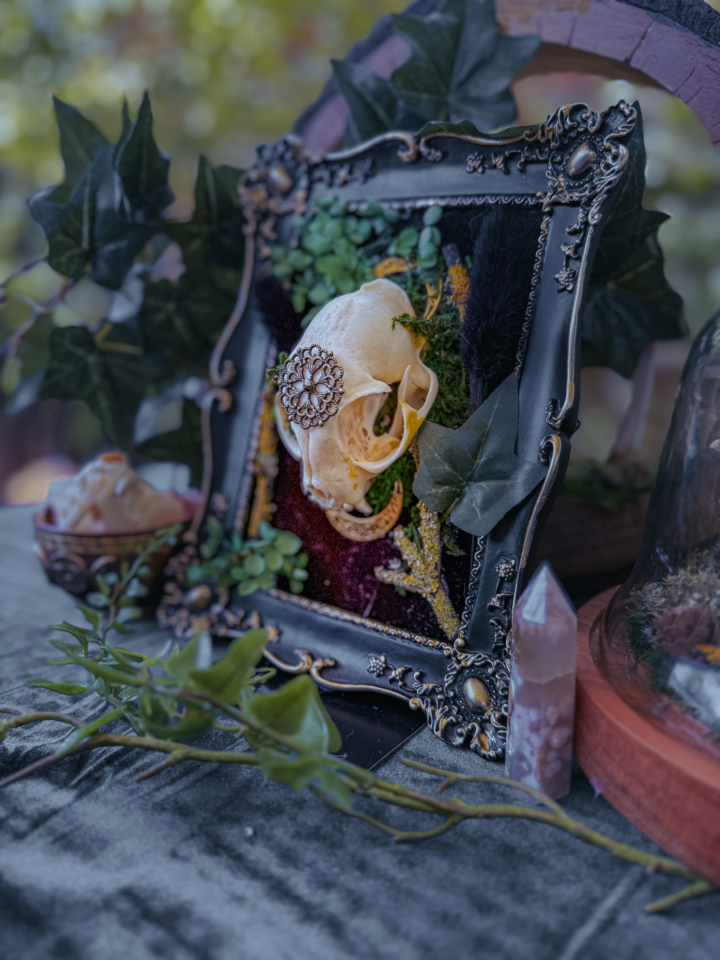 Overgrown Cat Skull - Fern - The Curious Witch Store