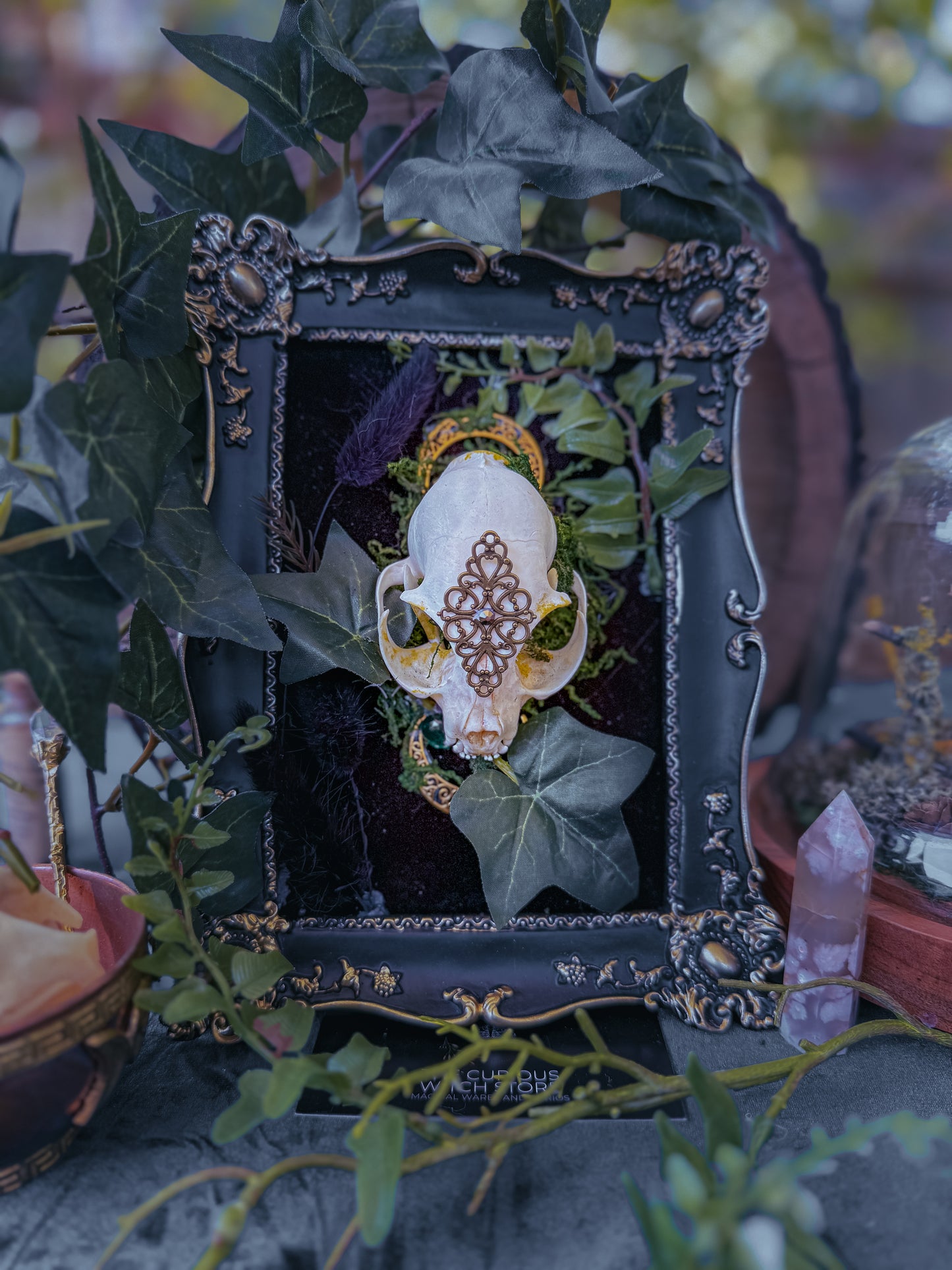 Overgrown Cat Skull - Calla Lily - The Curious Witch Store