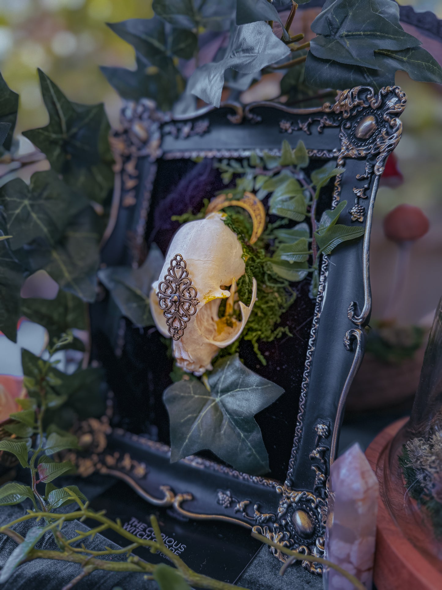 Overgrown Cat Skull - Calla Lily - The Curious Witch Store