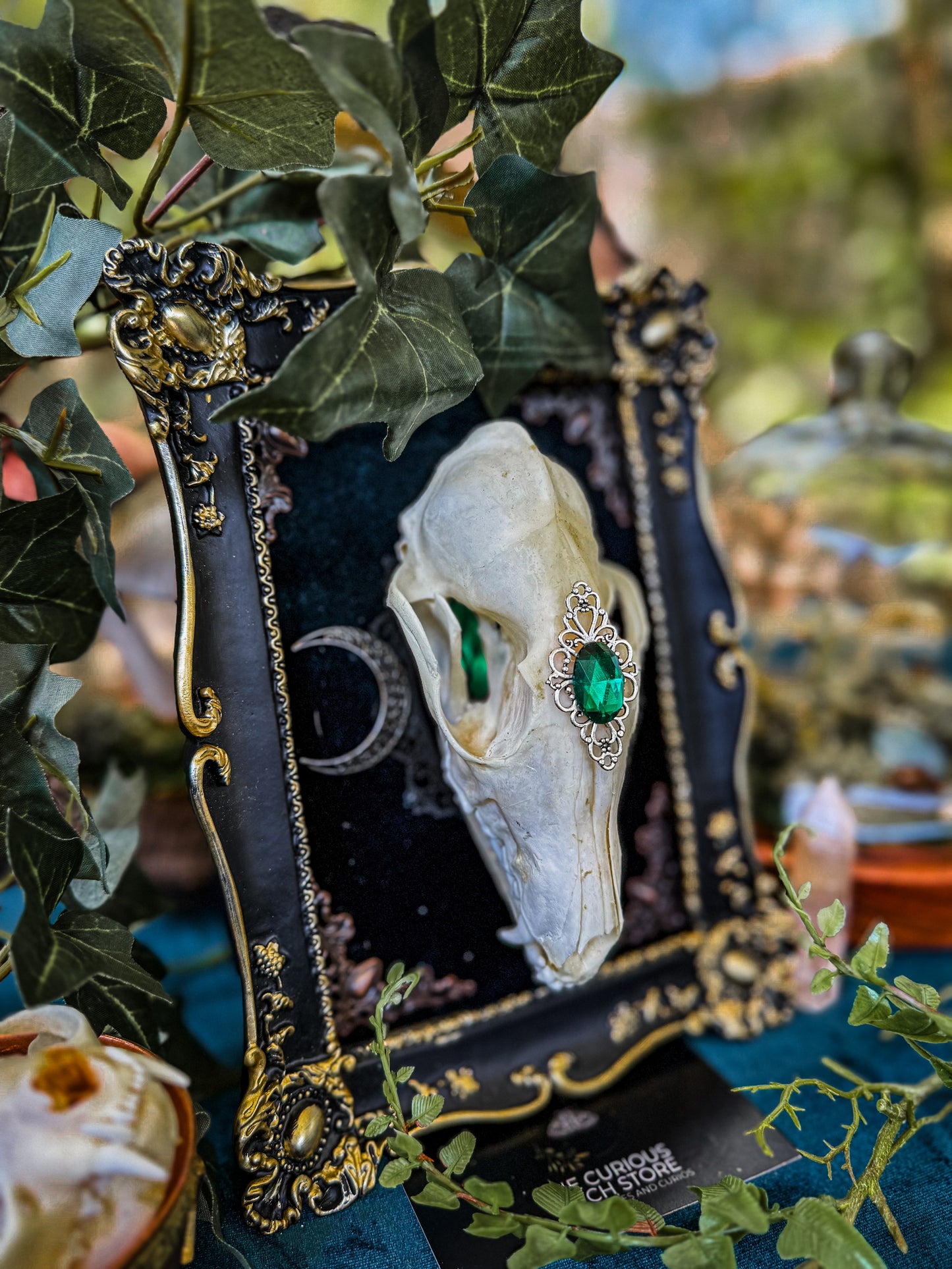 Mounted Fox Skull - Regal A - The Curious Witch Store