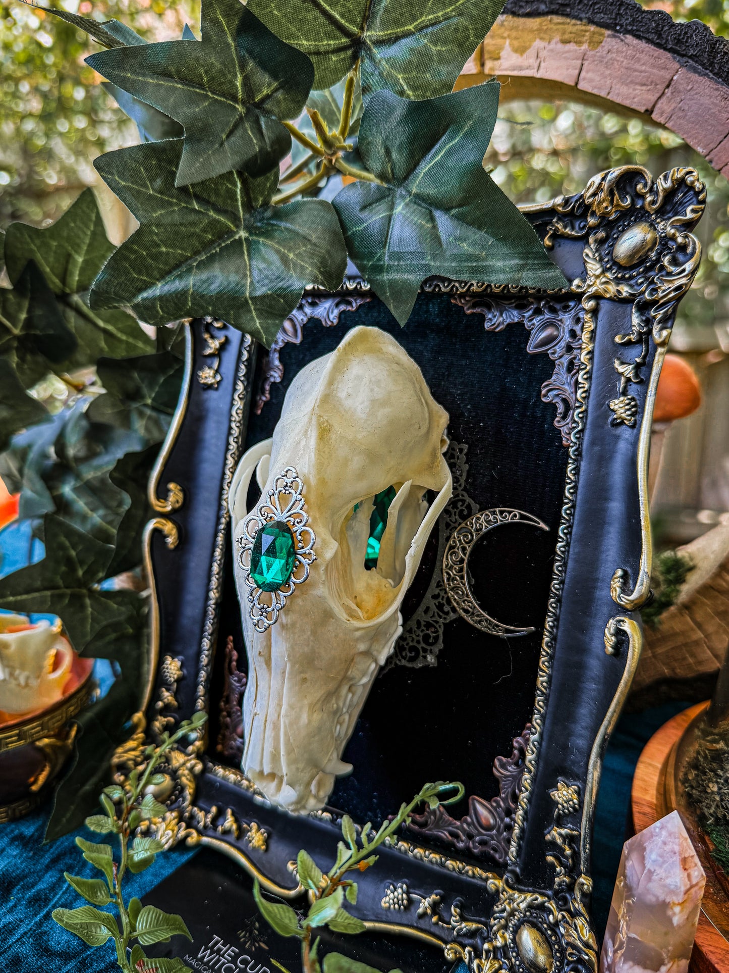 Mounted Fox Skull - Regal A - The Curious Witch Store