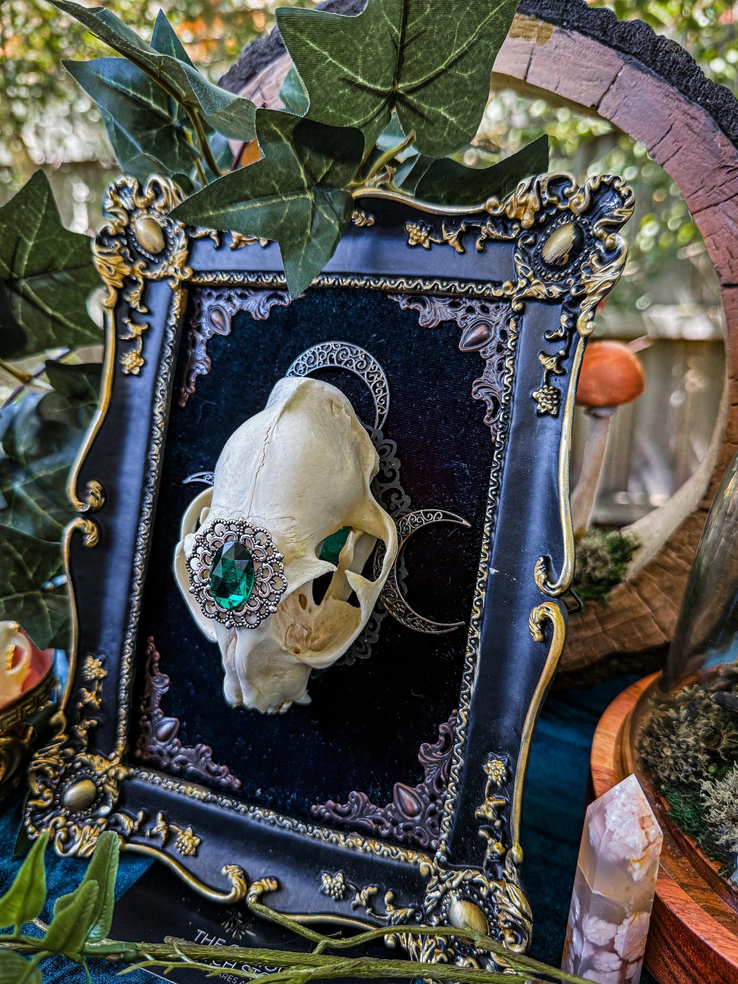 Mounted Cat Skull - Regal A - The Curious Witch Store
