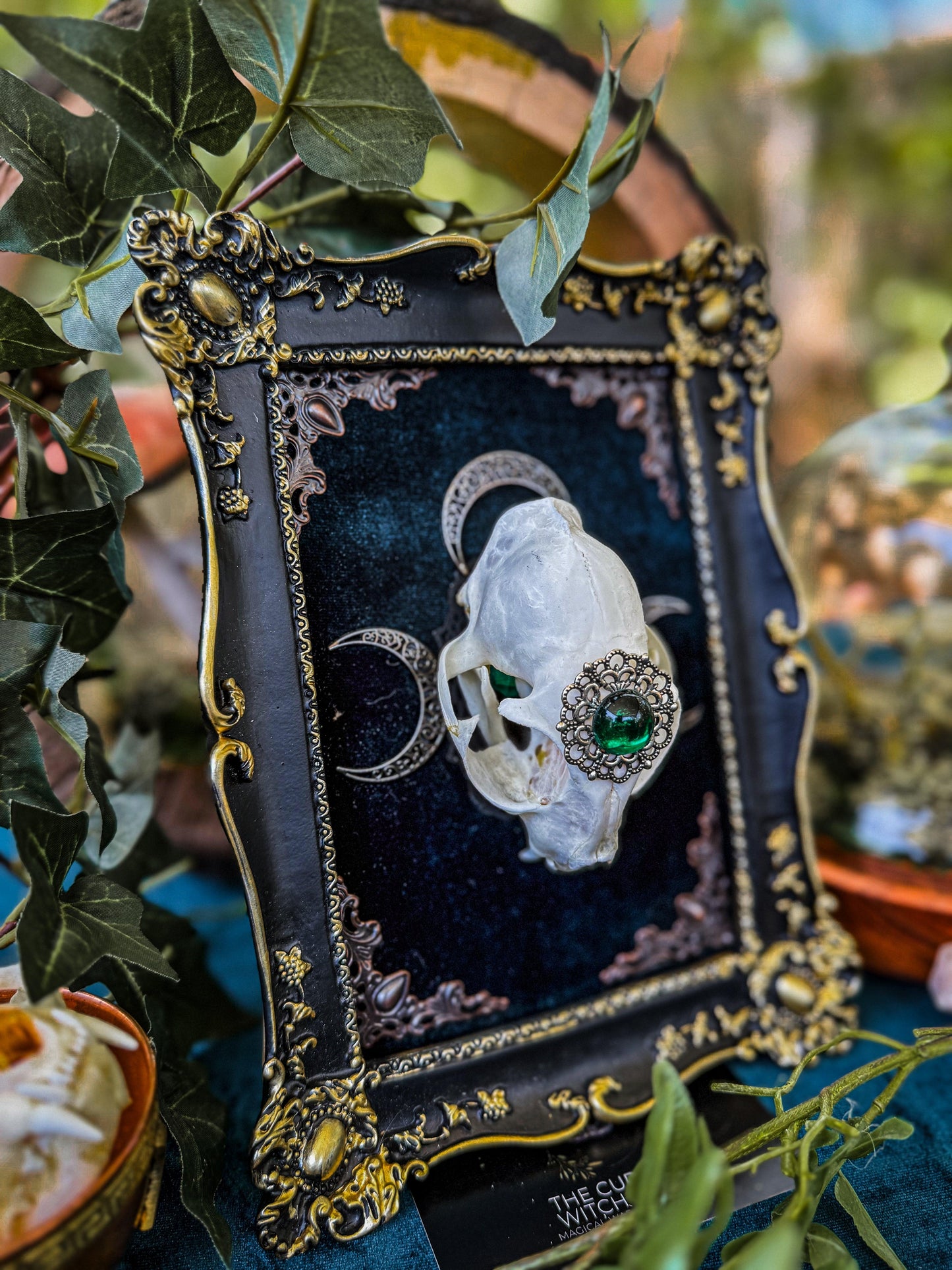 Mounted Cat Skull - Regal B - The Curious Witch Store