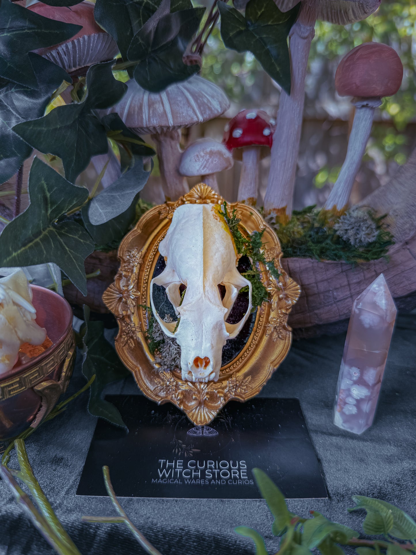 Mounted Mink Skull - Mini Overgrown 1 - The Curious Witch Store