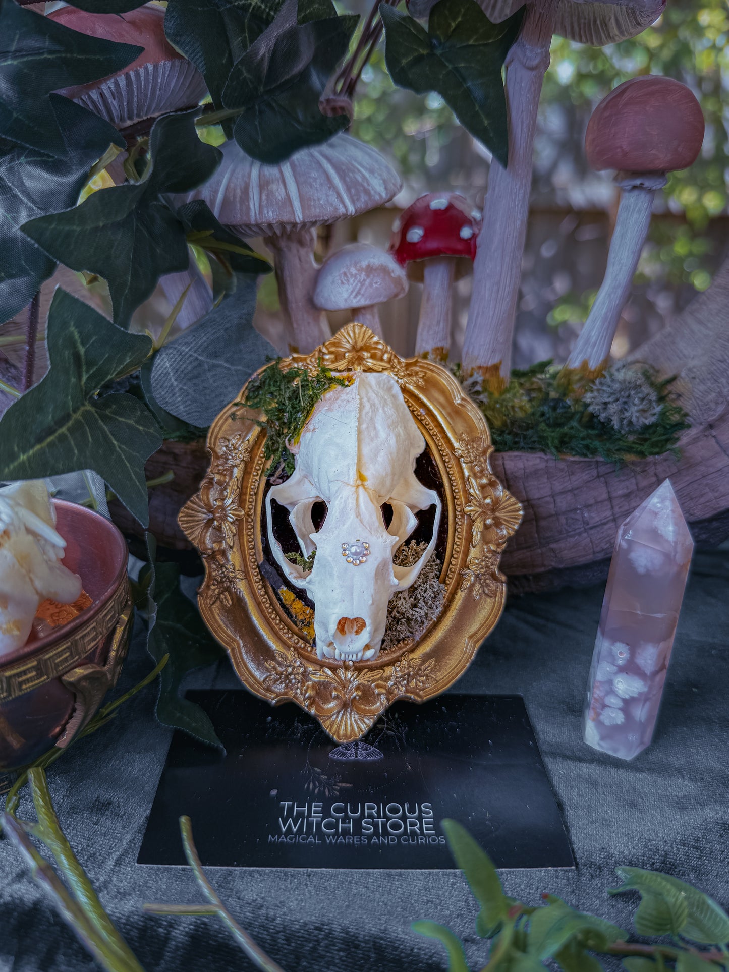 Mounted Mink Skull - Mini Overgrown 2 - The Curious Witch Store