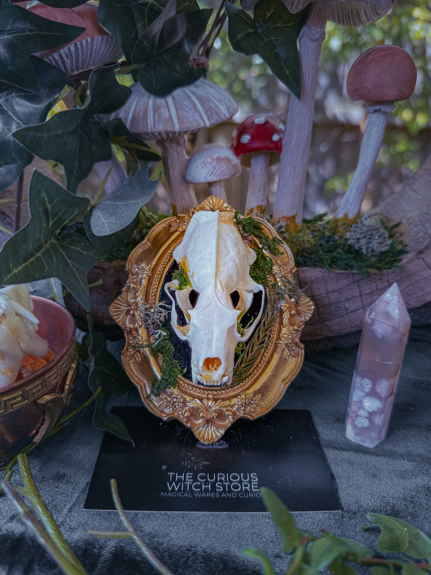 Mounted Mink Skull - Mini Overgrown 3 - The Curious Witch Store