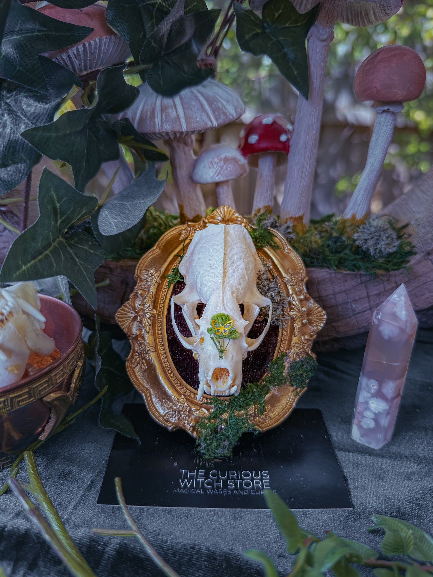 Mounted Mink Skull - Mini Overgrown 4 - The Curious Witch Store