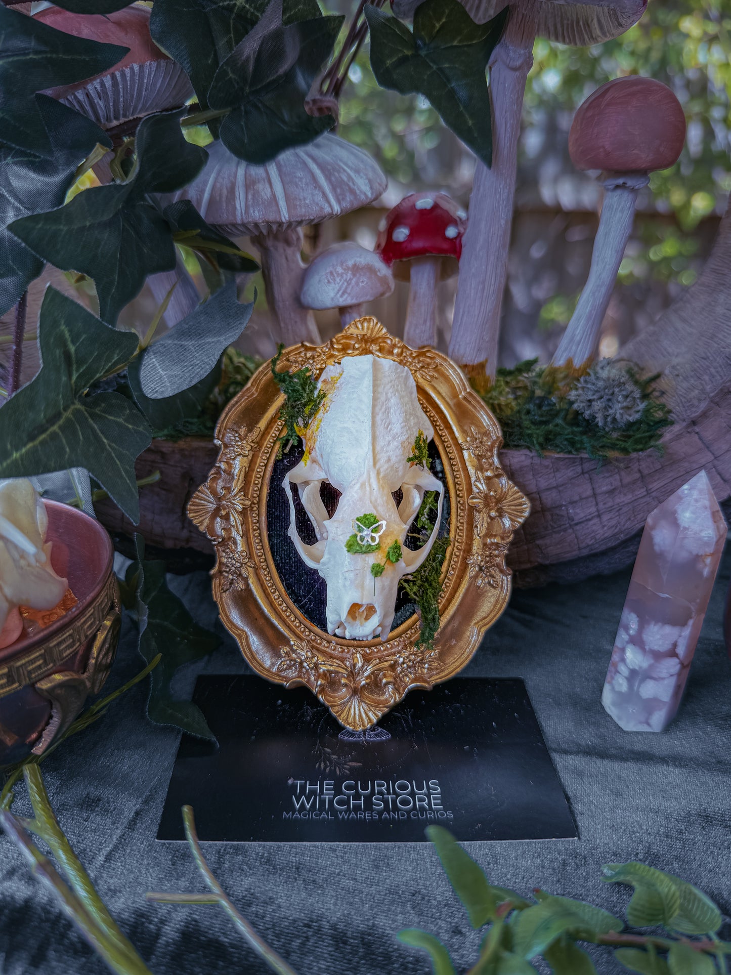 Mounted Mink Skull - Mini Overgrown 5 - The Curious Witch Store
