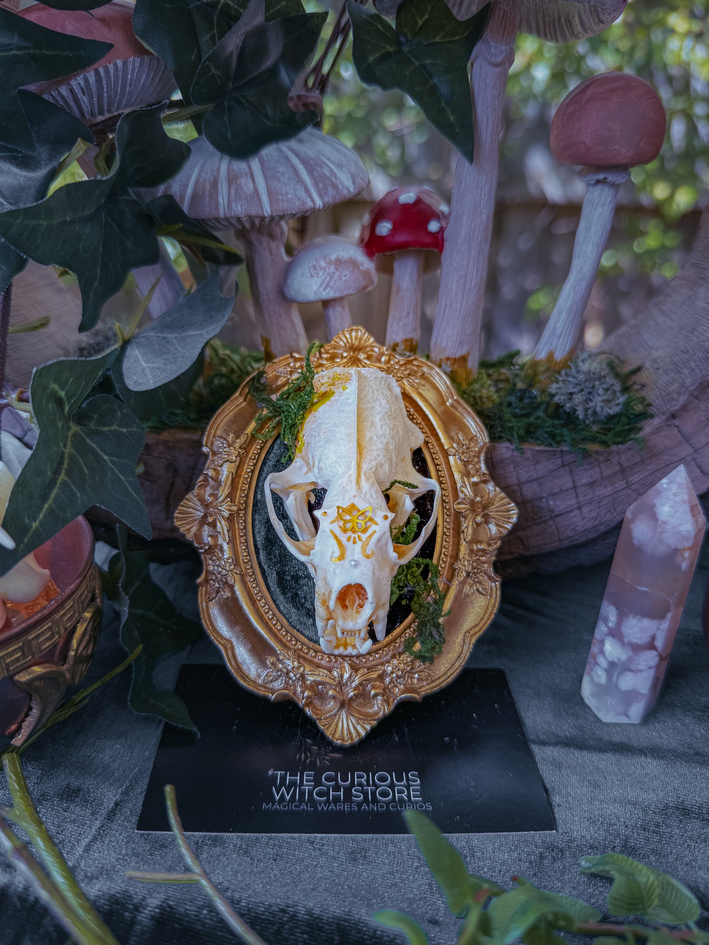 Mounted Mink Skull - Mini Overgrown 6 - The Curious Witch Store
