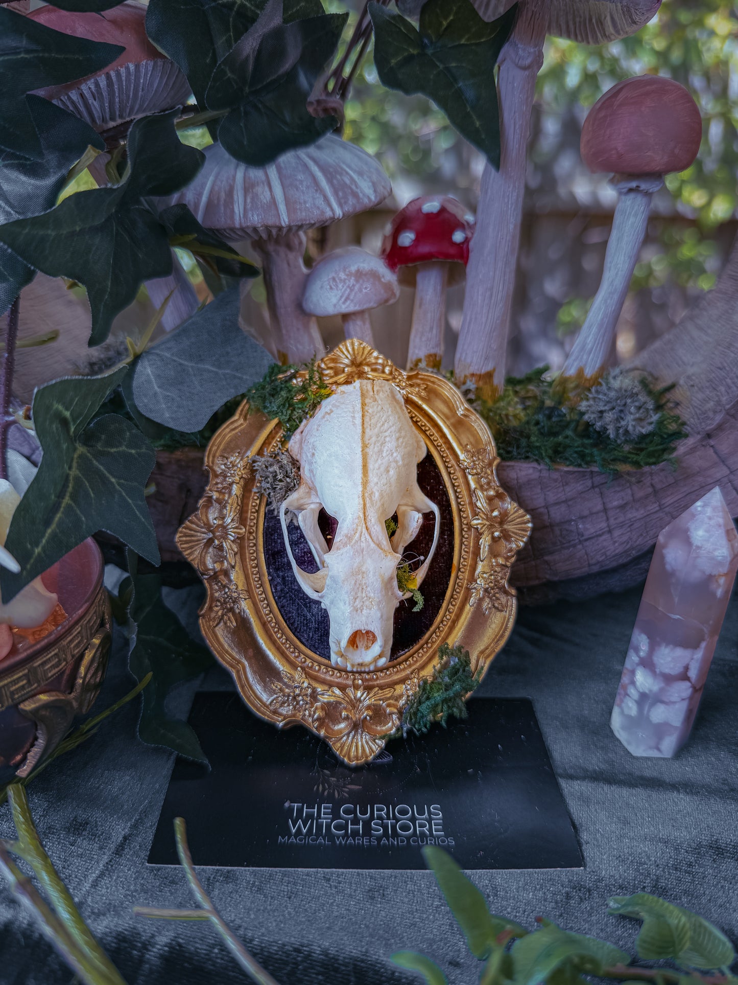 Mounted Mink Skull - Mini Overgrown 7 - The Curious Witch Store