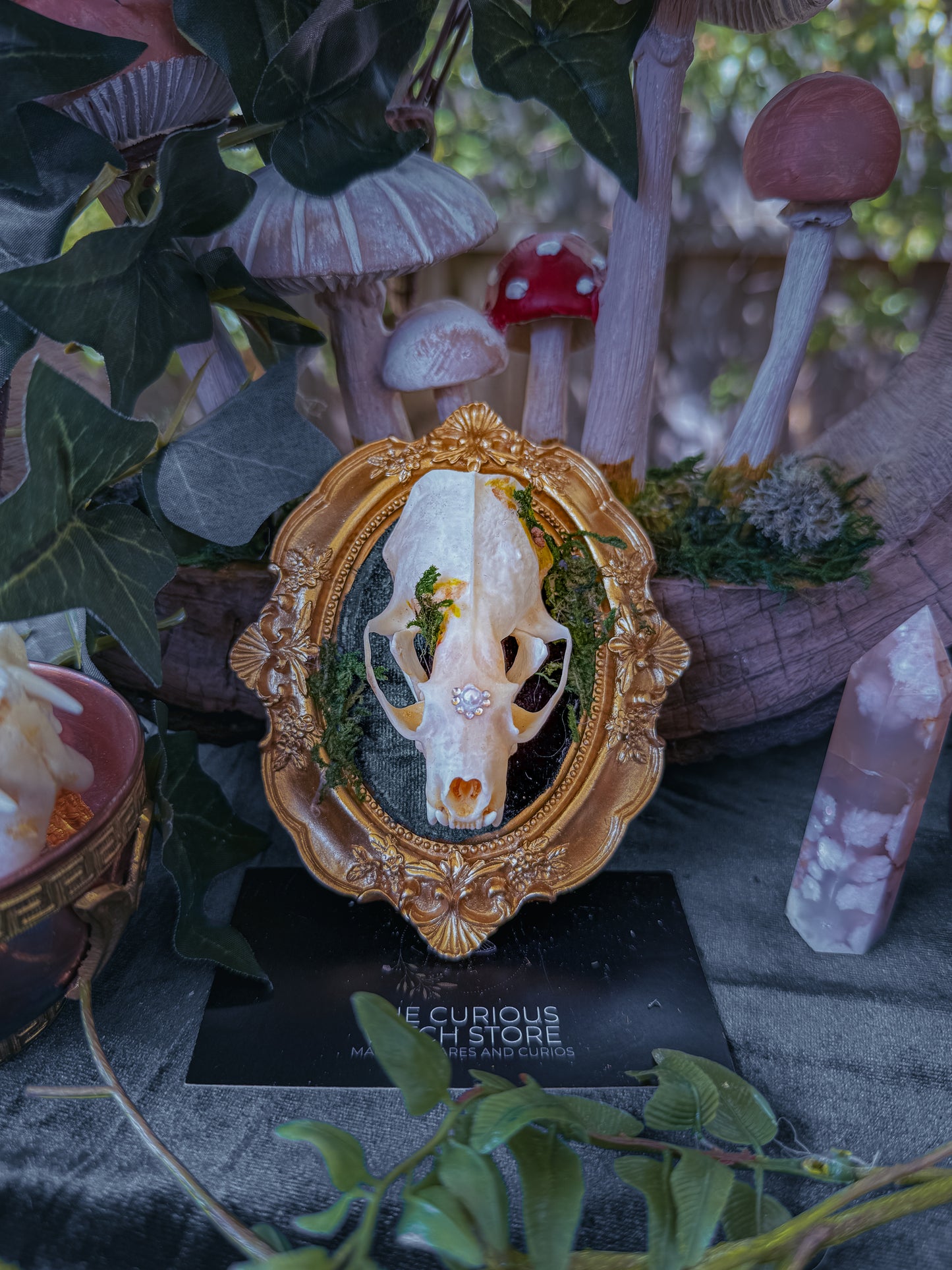 Mounted Mink Skull - Mini Overgrown 8 - The Curious Witch Store