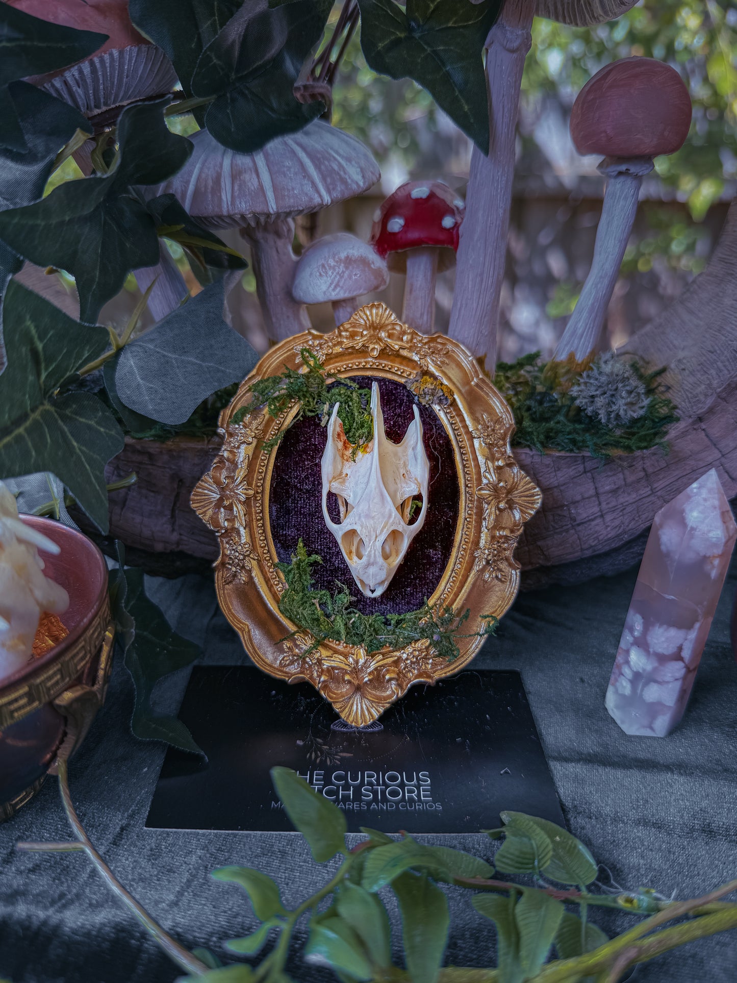 Mounted Turtle Skull - Mini Overgrown 4 - The Curious Witch Store