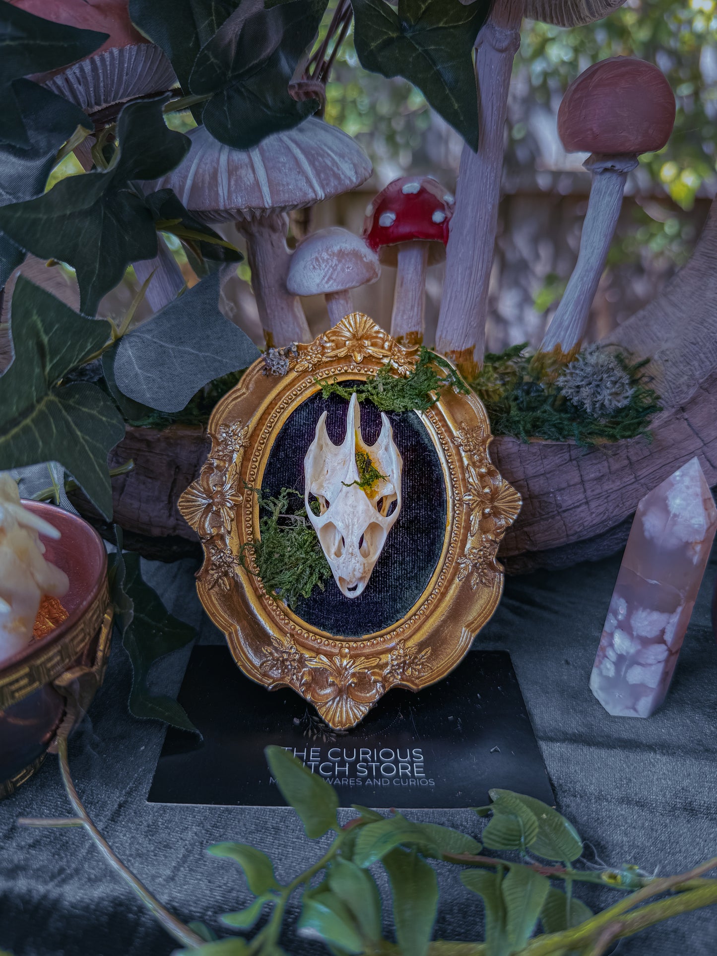 Mounted Turtle Skull - Mini Overgrown 5 - The Curious Witch Store