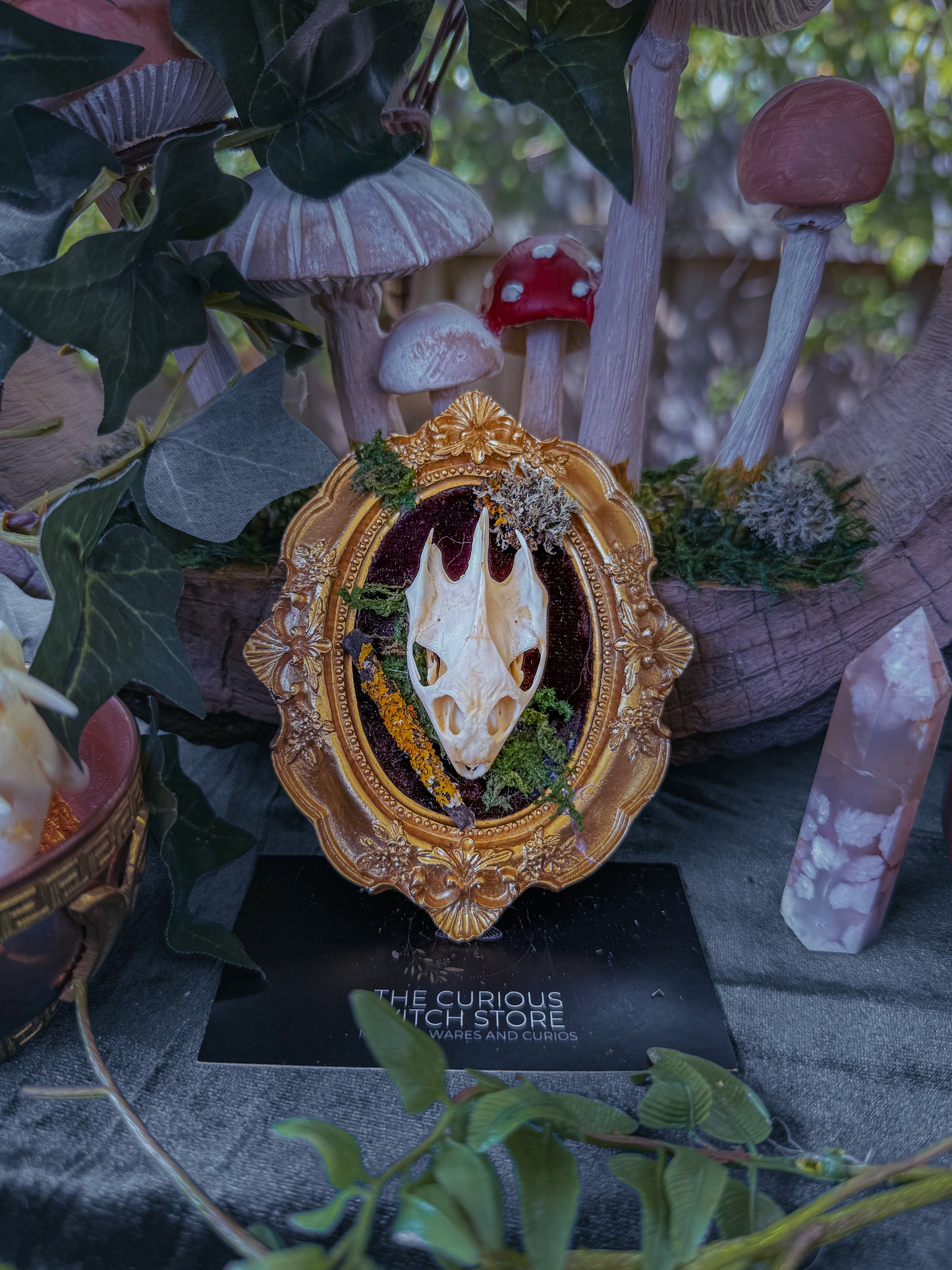 Mounted Turtle Skull - Mini Overgrown 6 - The Curious Witch Store