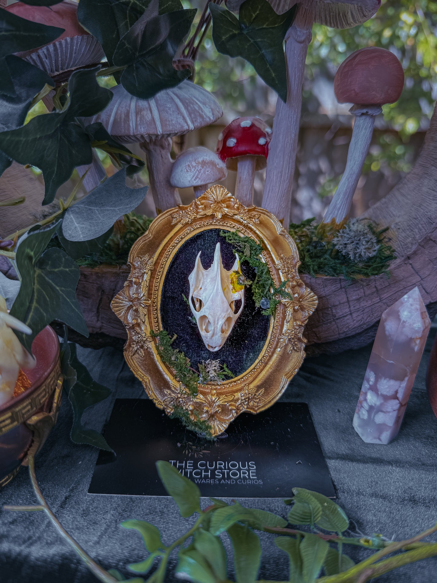 Mounted Turtle Skull - Mini Overgrown 7 - The Curious Witch Store