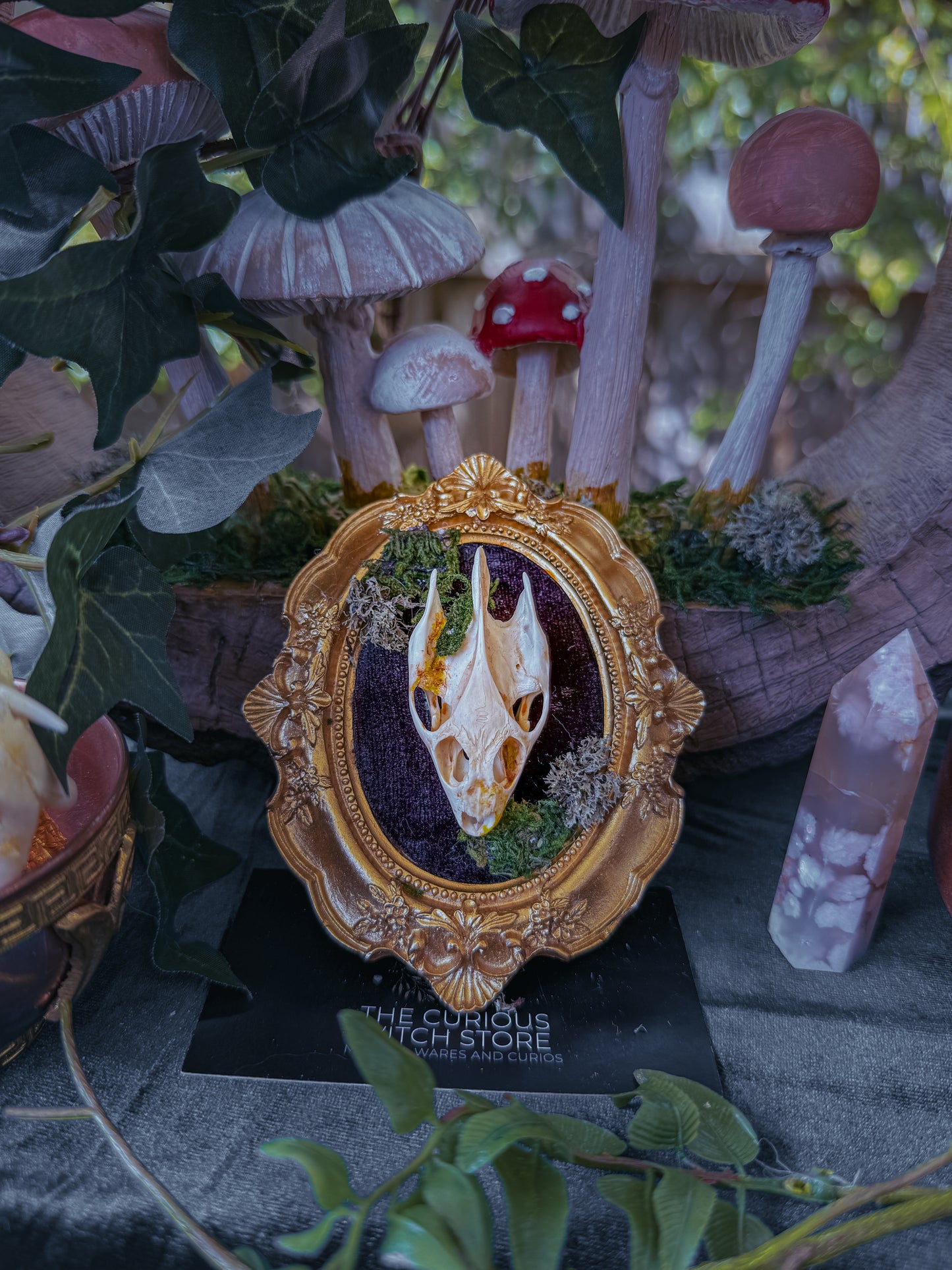 Mounted Turtle Skull - Mini Overgrown 9 - The Curious Witch Store