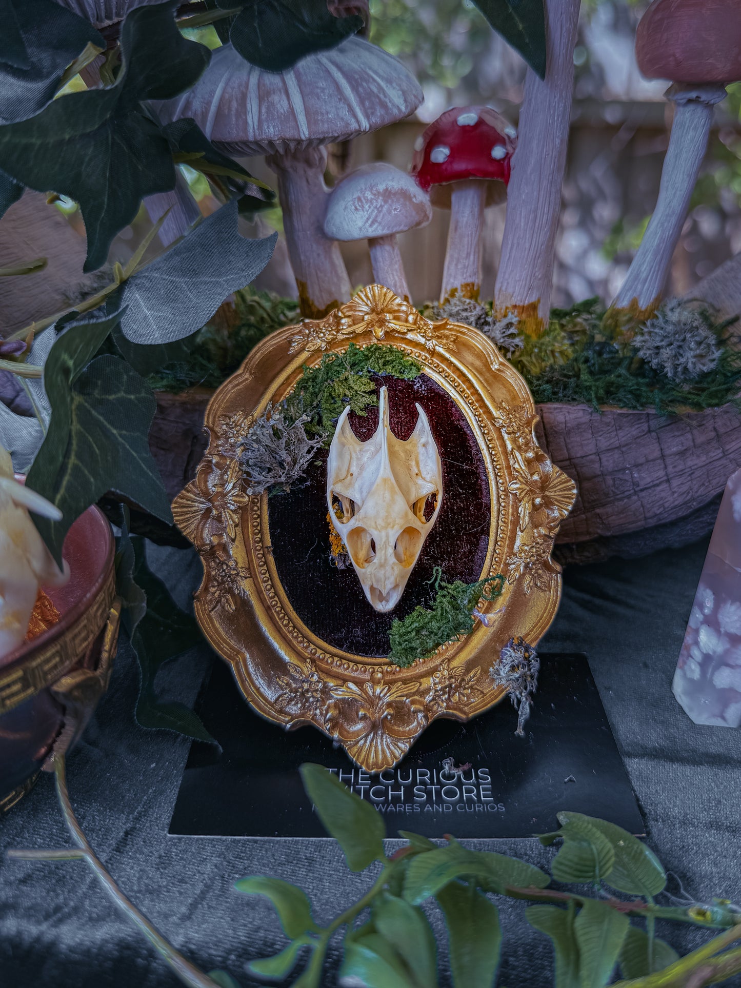 Mounted Turtle Skull - Mini Overgrown 10 - The Curious Witch Store