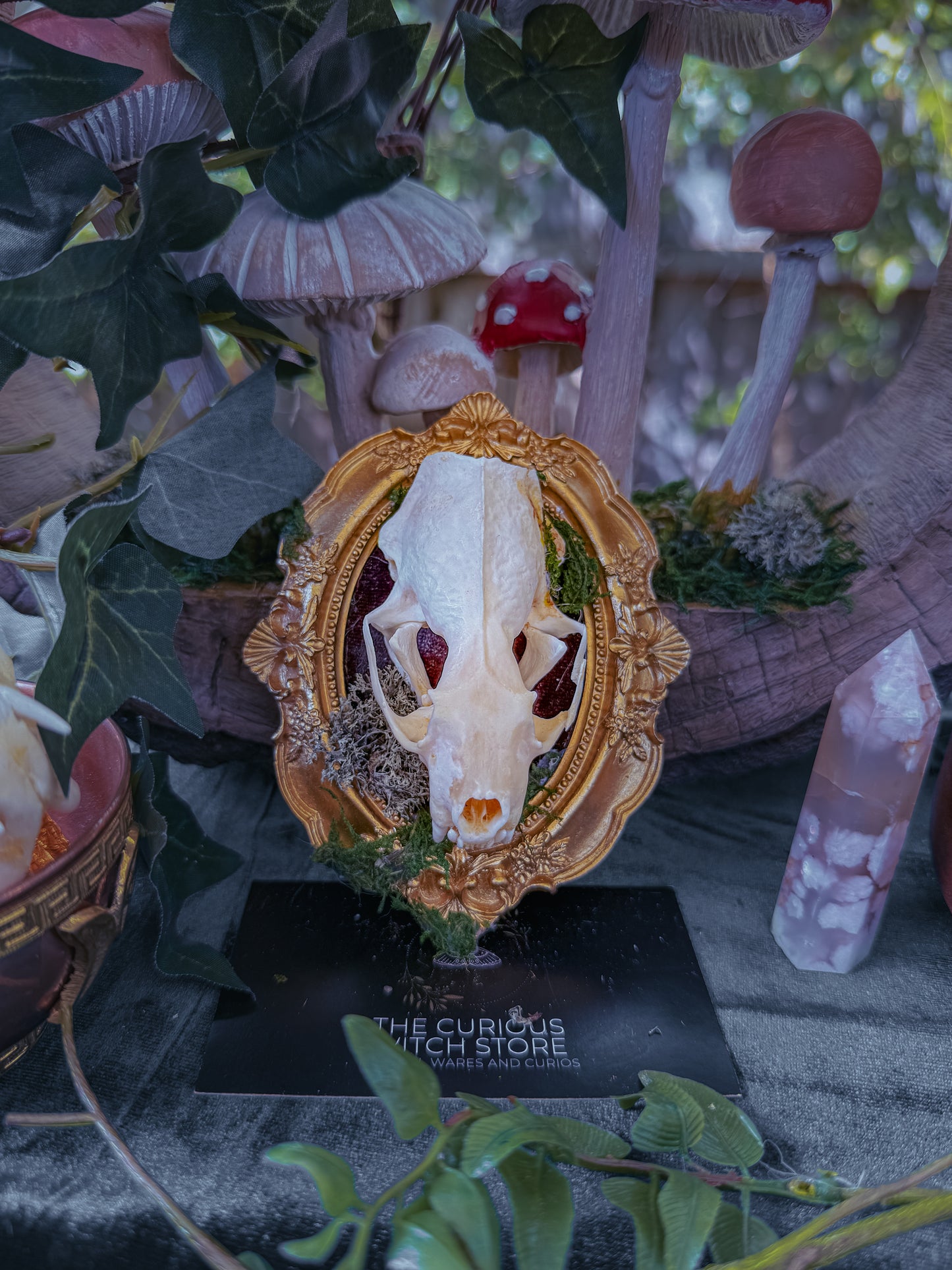 Mounted Mink Skull - Mini Overgrown 9 - The Curious Witch Store