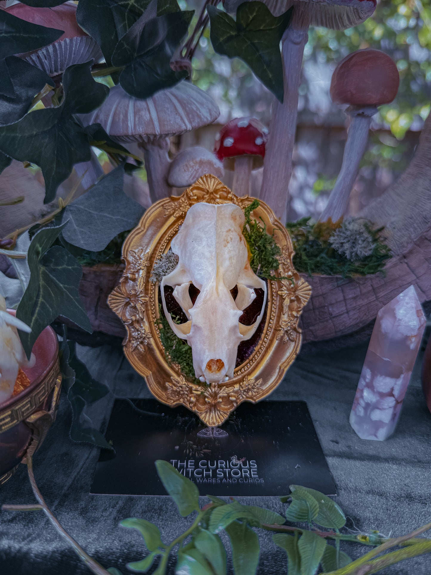Mounted Mink Skull - Mini Overgrown 10 - The Curious Witch Store