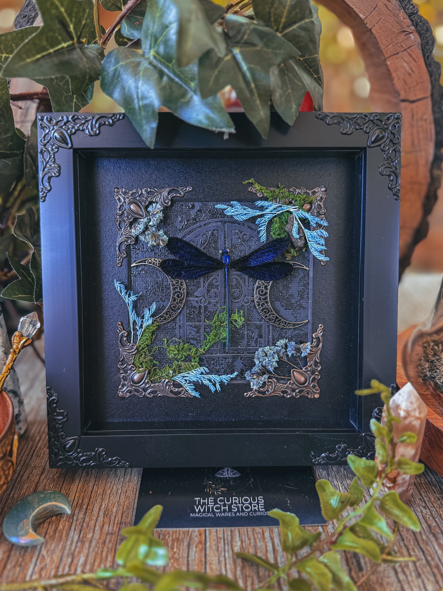 Nila Flashwing - Greenhouse - The Curious Witch Store