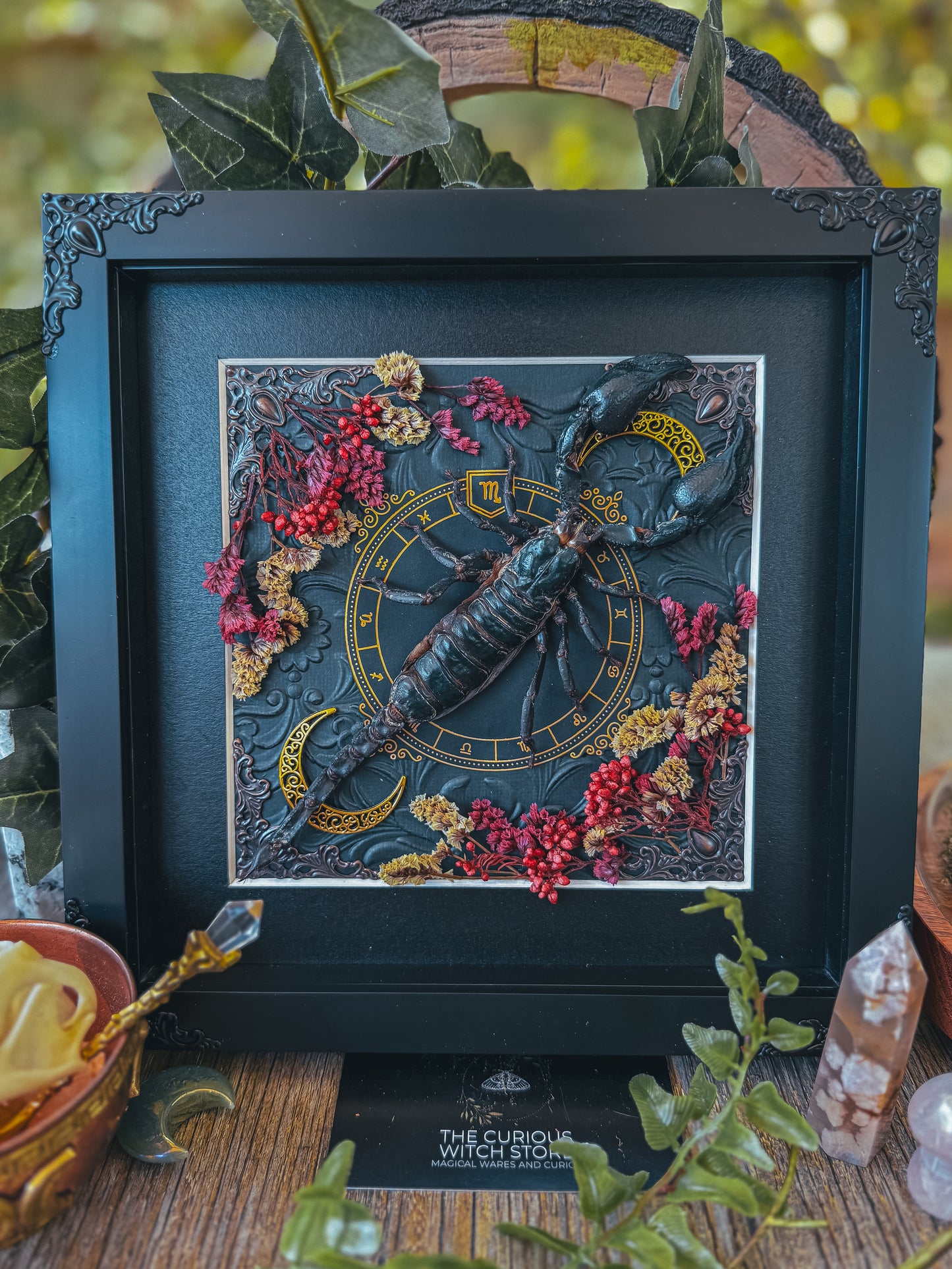 Scorpion, Javanimetrus cyaneus - Zodiac - The Curious Witch Store