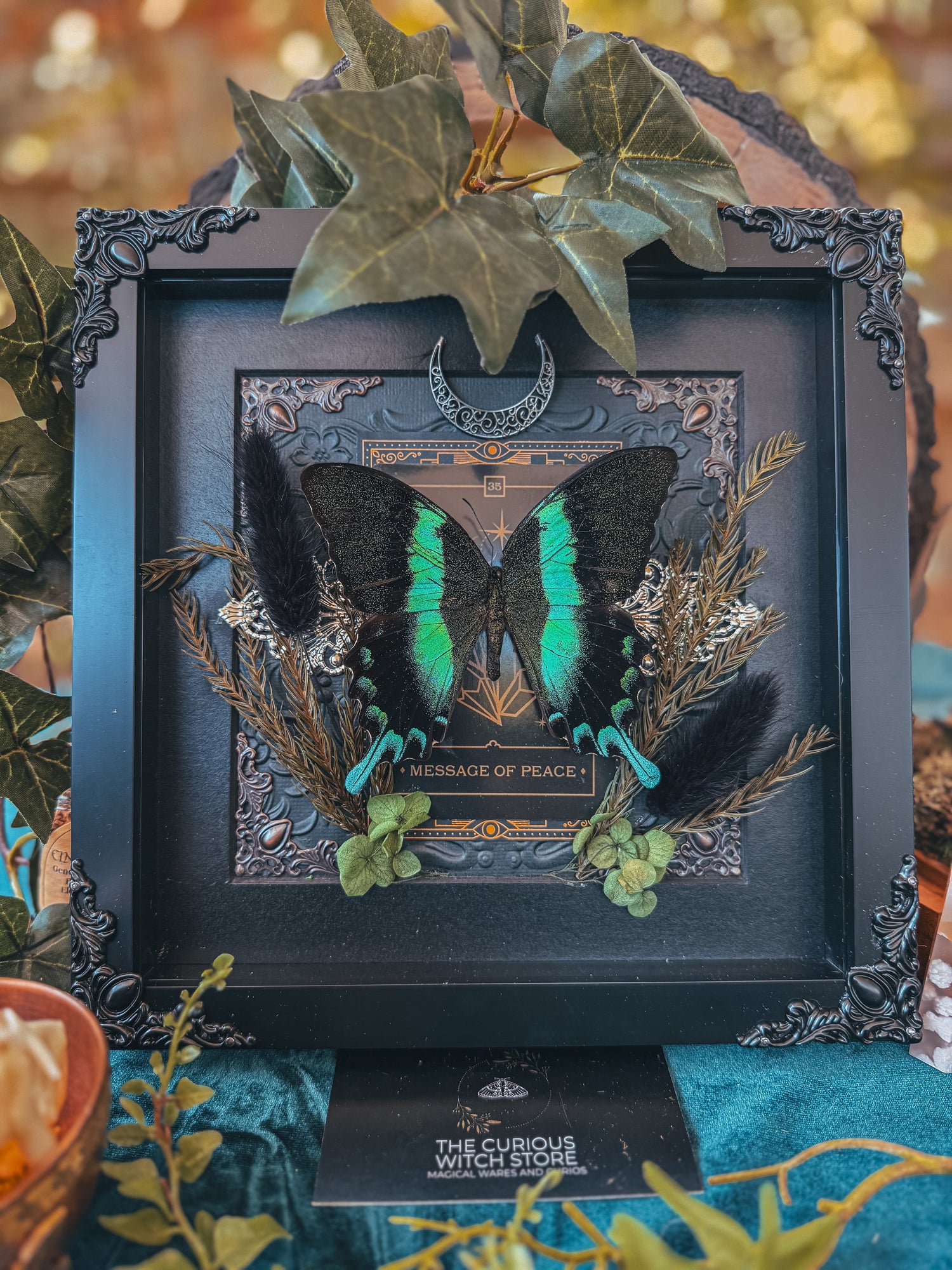 The Oracle Collection - The Curious Witch Store