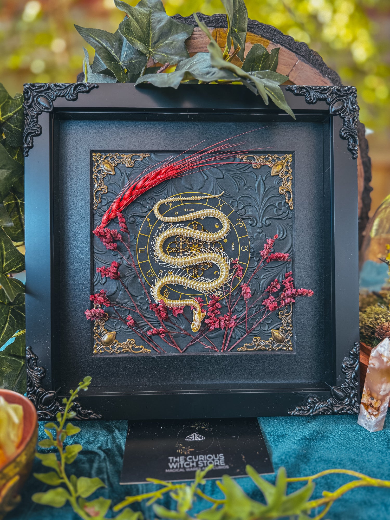 Skulls and Skeletons - The Curious Witch Store