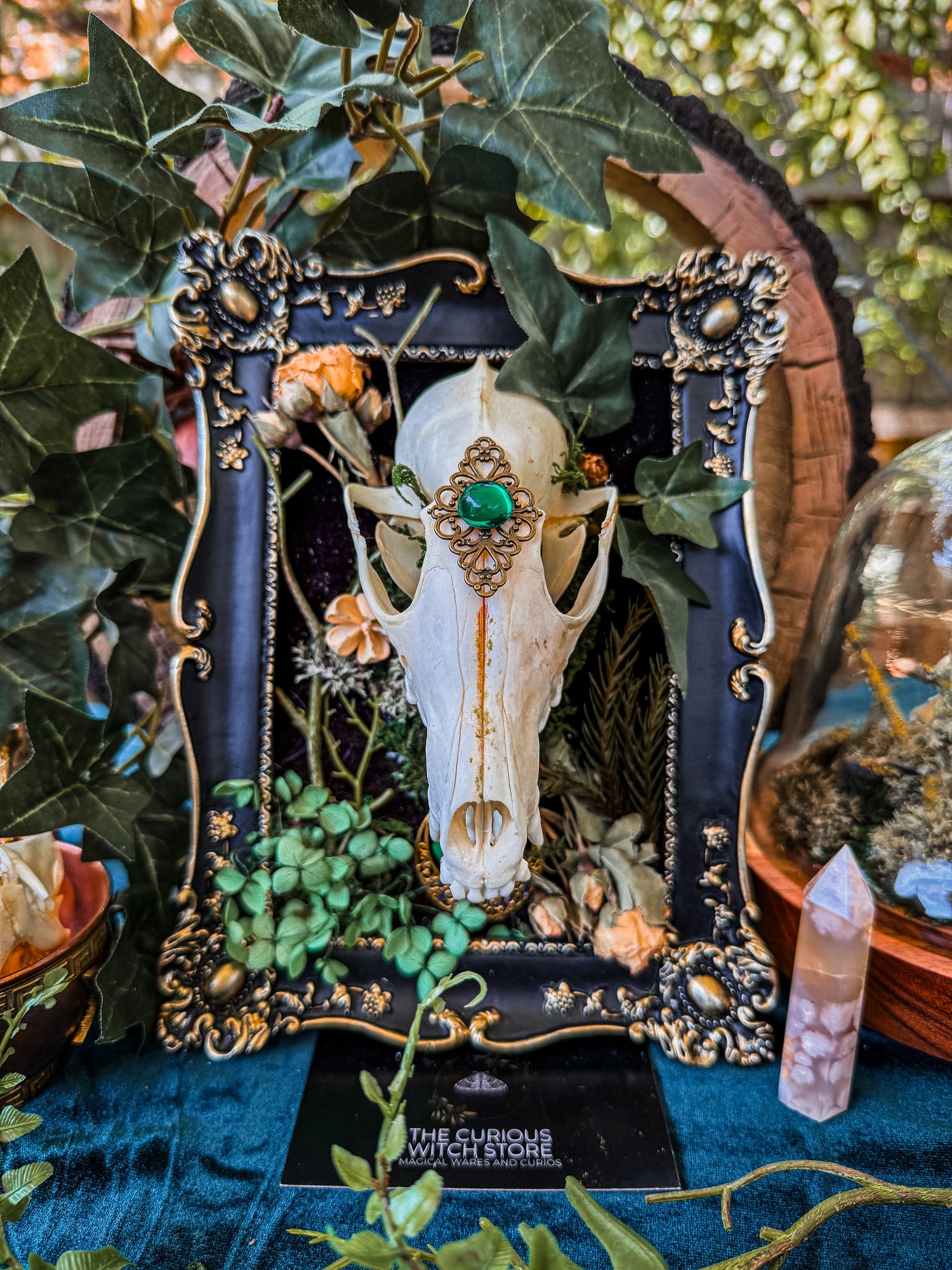 The Overgrown Collection - The Curious Witch Store