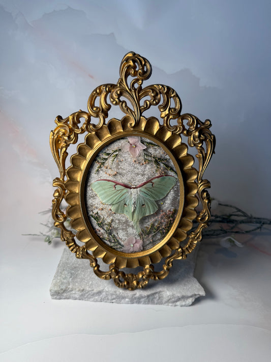 Actius Luna - Antique convex frame