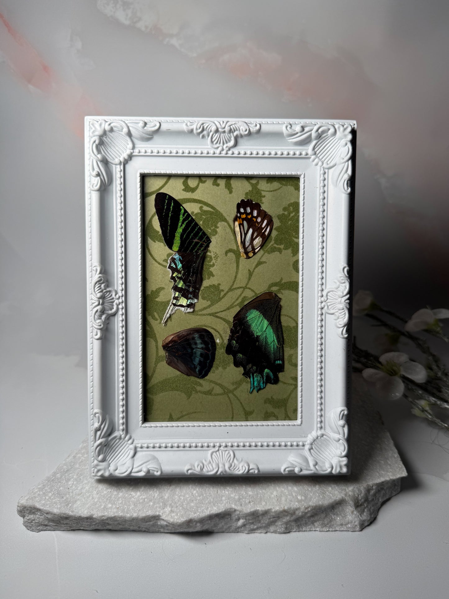 Mixed Wing Frame - Green Ornate