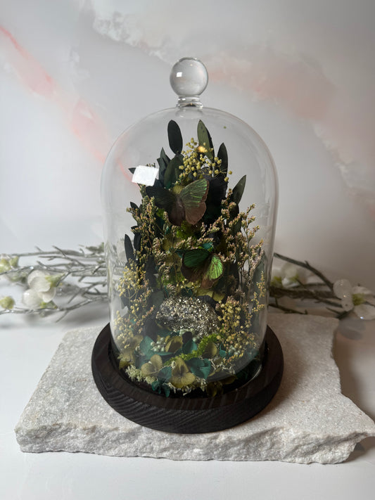 Arhopala sp. x Pyrite Cloche dome