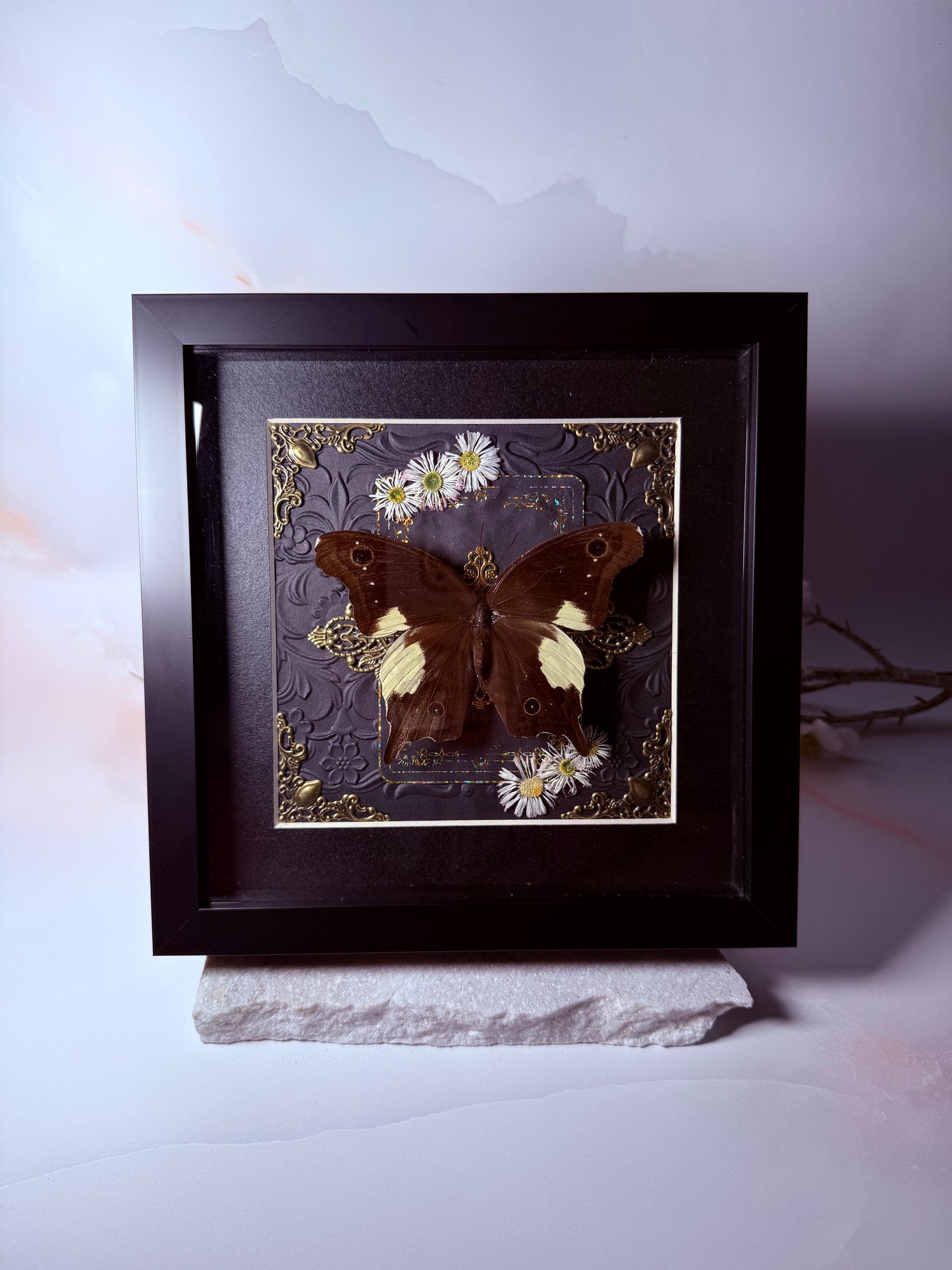 Neorina Lowi - Gold Ornamental