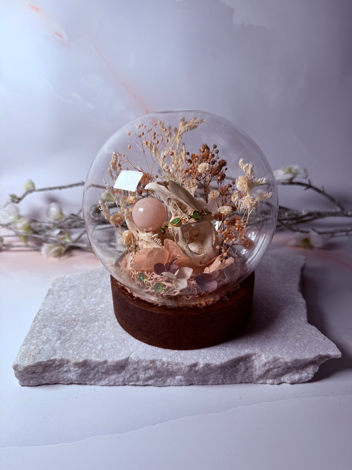 Rabbit Skull dome - Light up base