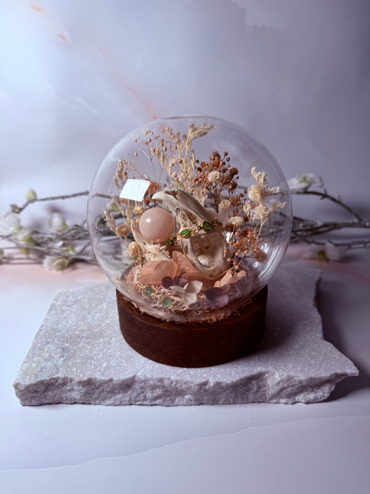 Rabbit Skull dome - Light up base